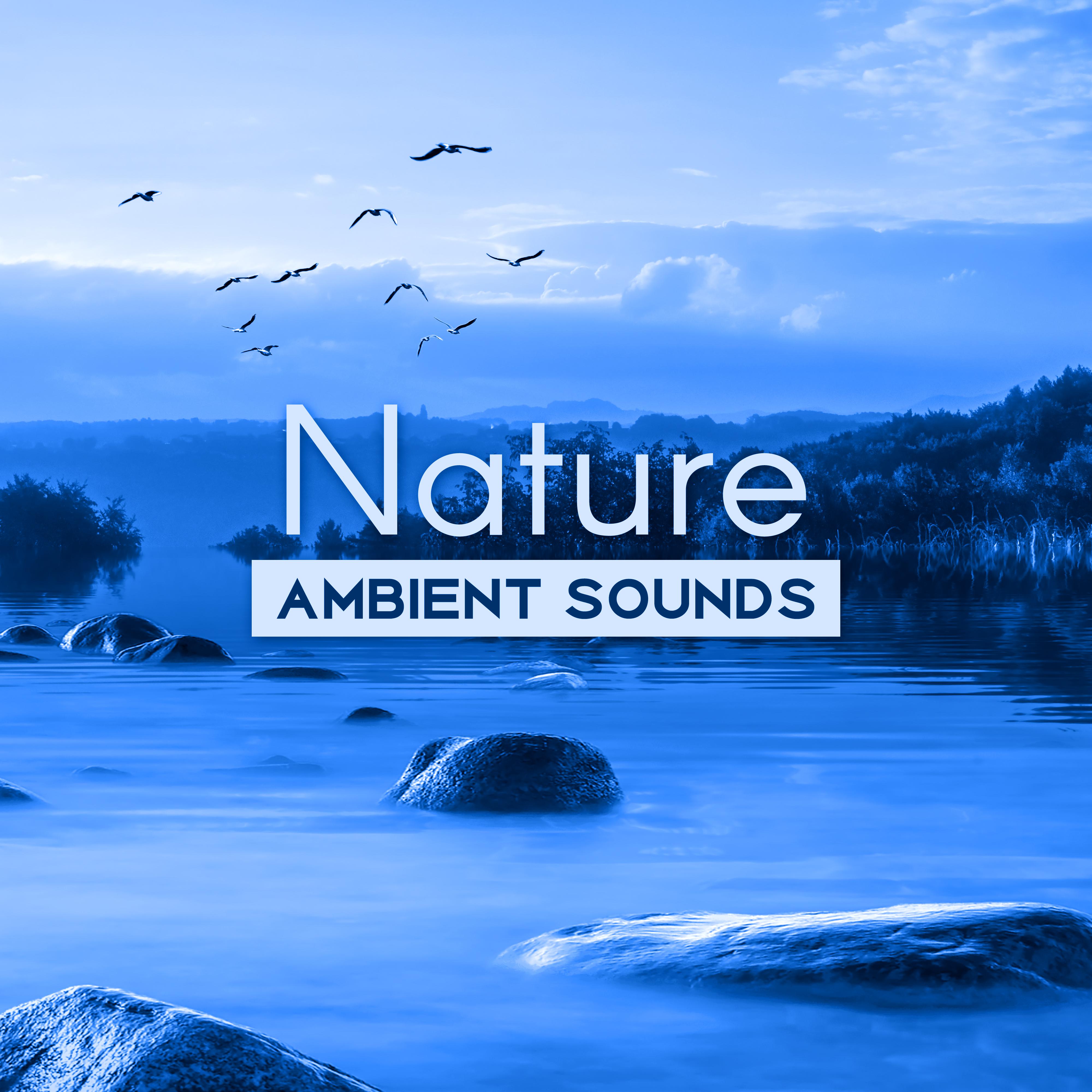 Nature Ambient Sounds  Calm Sounds to Relax, Nature Relaxation, New Age Music to Rest, Healing Sounds, Therapy with Music