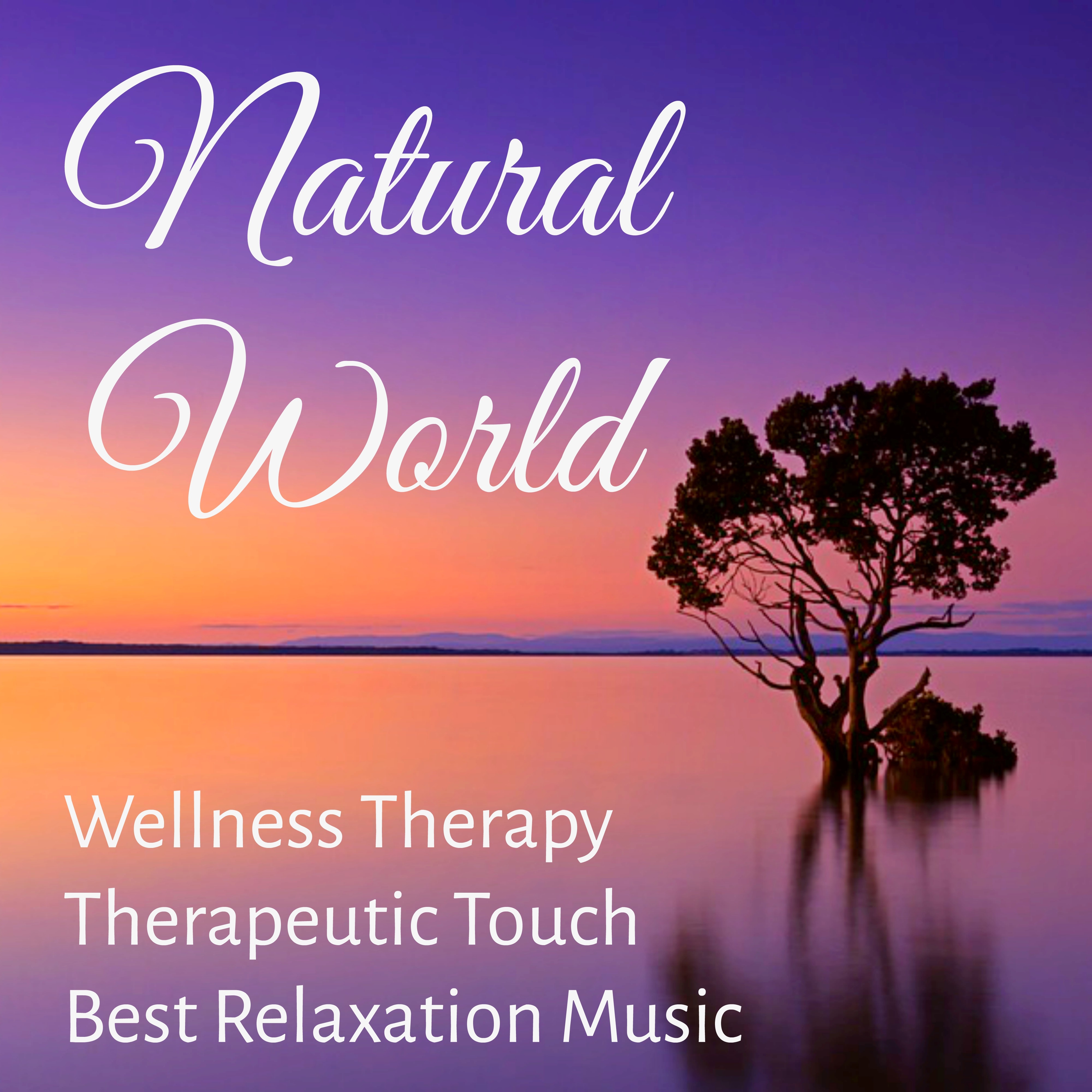 Natural World - Wellness Therapy Therapeutic Touch Best Relaxation Music for Equilibrium Balance Deep Concentration Reiki Chakras with Nature New Age Sounds