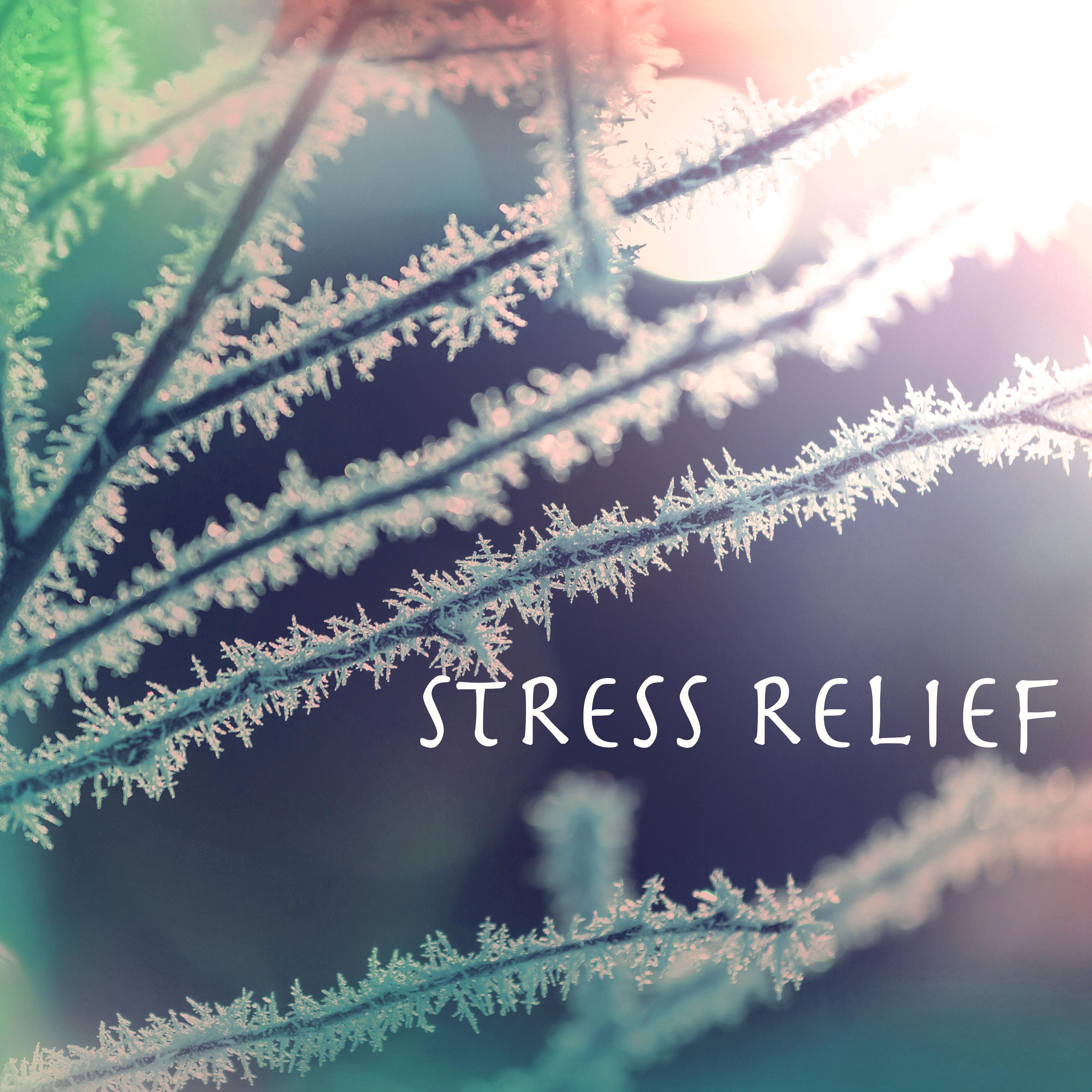 Stress Relief Therapy - Concentration Ambient Music