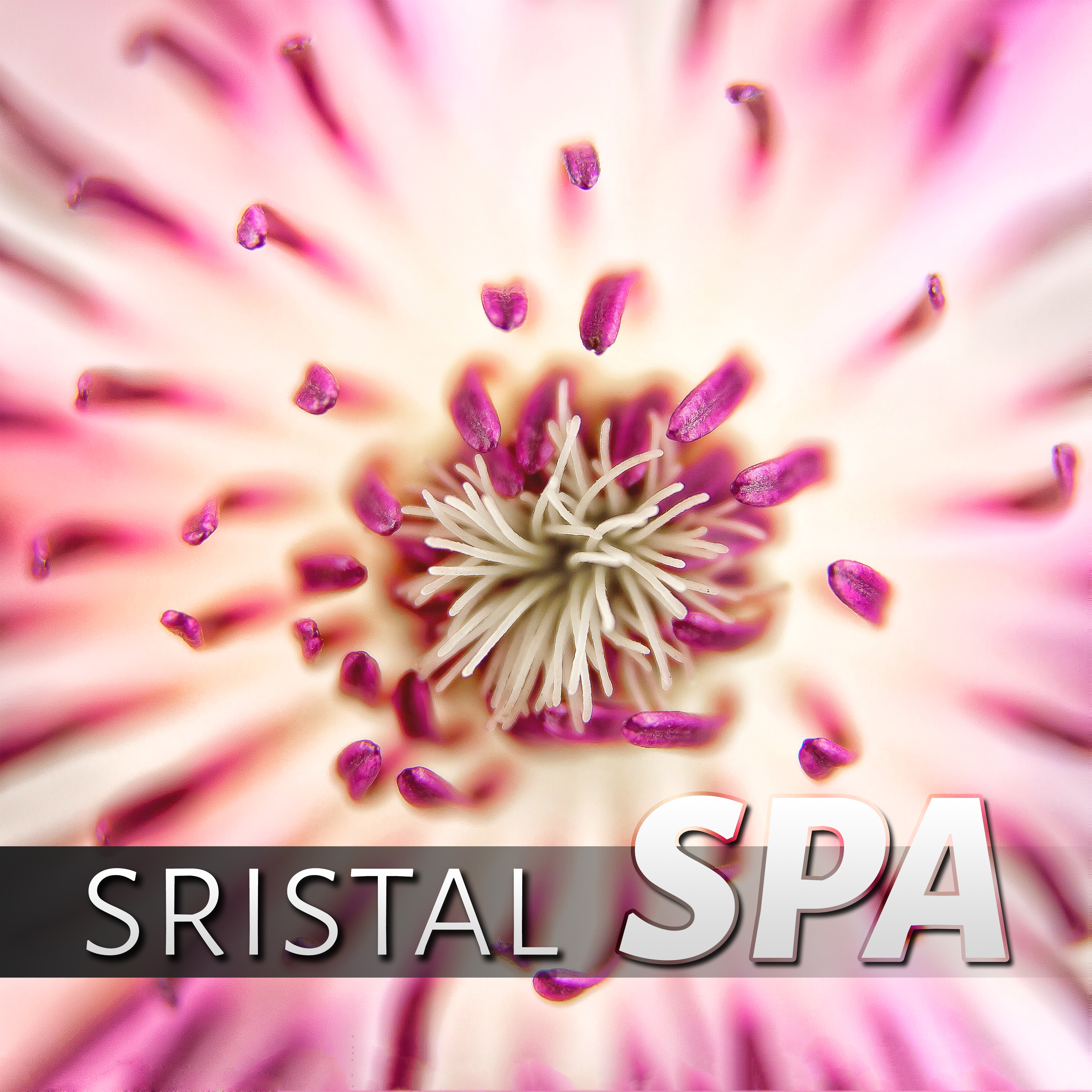 Cristal Spa - Tranquility Spa & Total Relax, Healing Meditation, Sleep, Massage Therapy, Pure Sound, Exceptional Nature Sounds for Relaxation