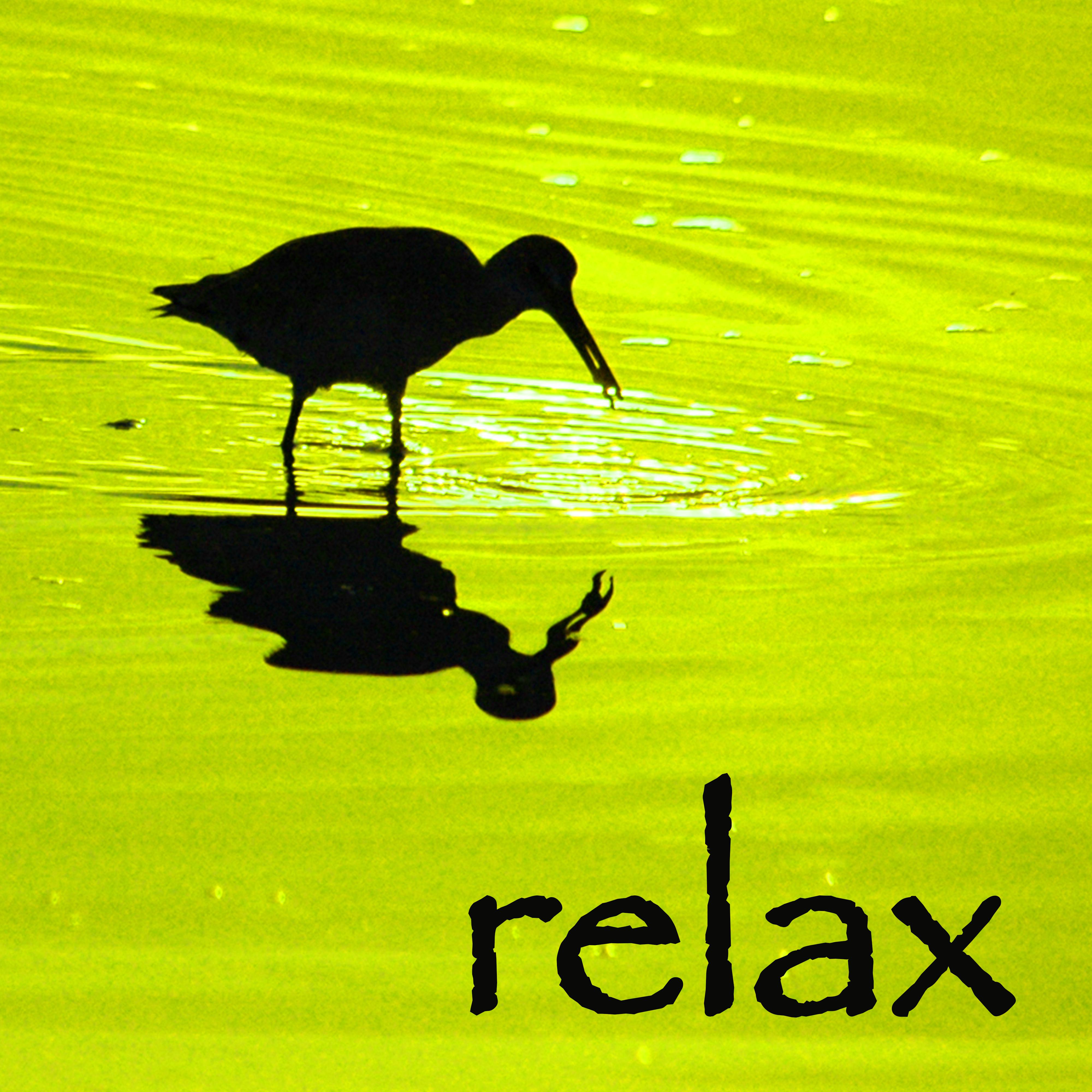 Stress Relievers Soothing Sounds