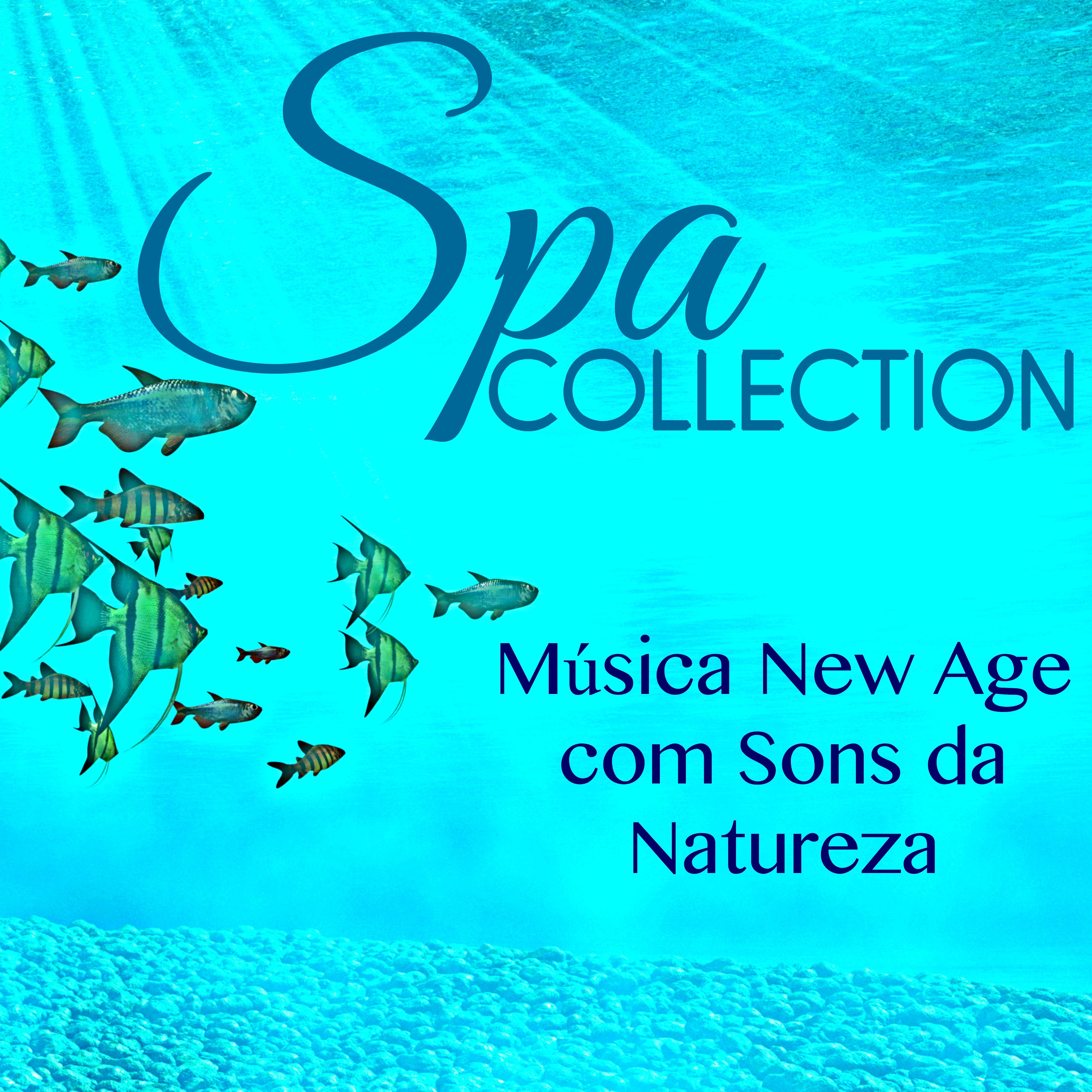 Spa Collection  Mu sica New Age com Sons da Natureza  Maravilhosas Can es Chill Out para a Massagem, Bem Estar, Relaxamento e Energia Vital, Medita o e Spa