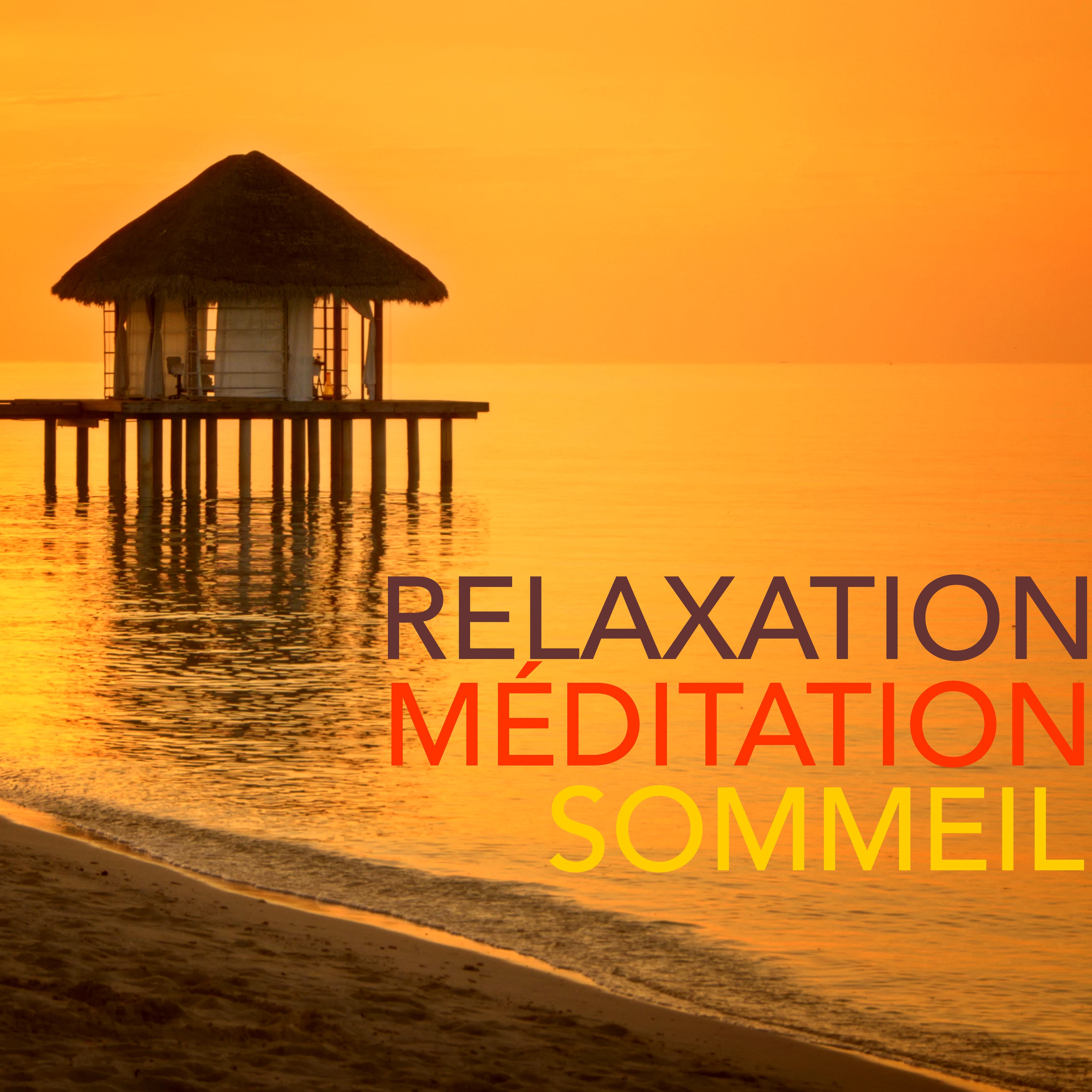 Relaxation Me ditation Sommeil  Musique et New Noise pour Me ditation Pleine Conscience, Relaxation Yoga et Sommeil Paisible