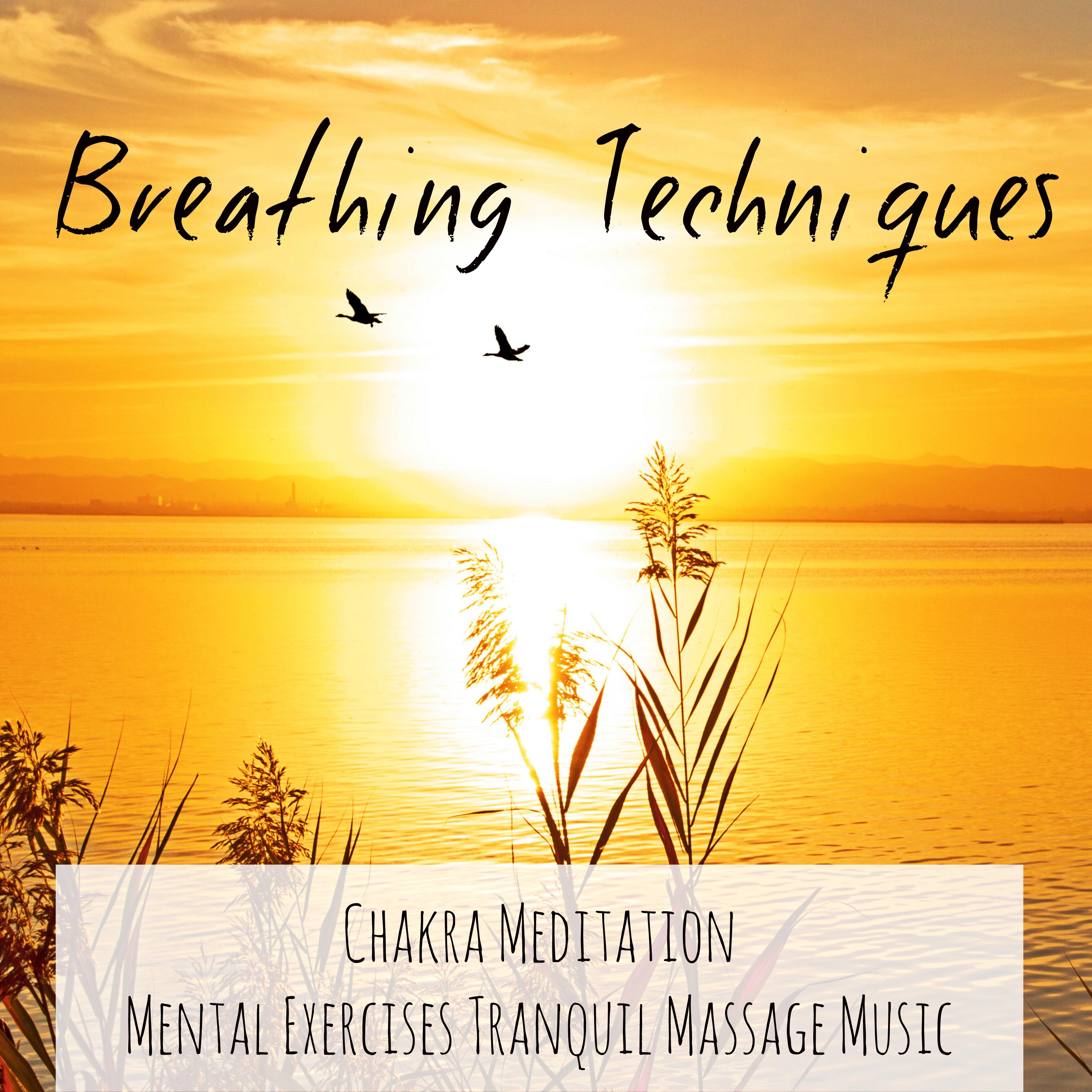 Breathing Techniques - Chakra Meditation Mental Exercises Tranquil Massage Music with New Age Instrumental New Age Healing Sounds