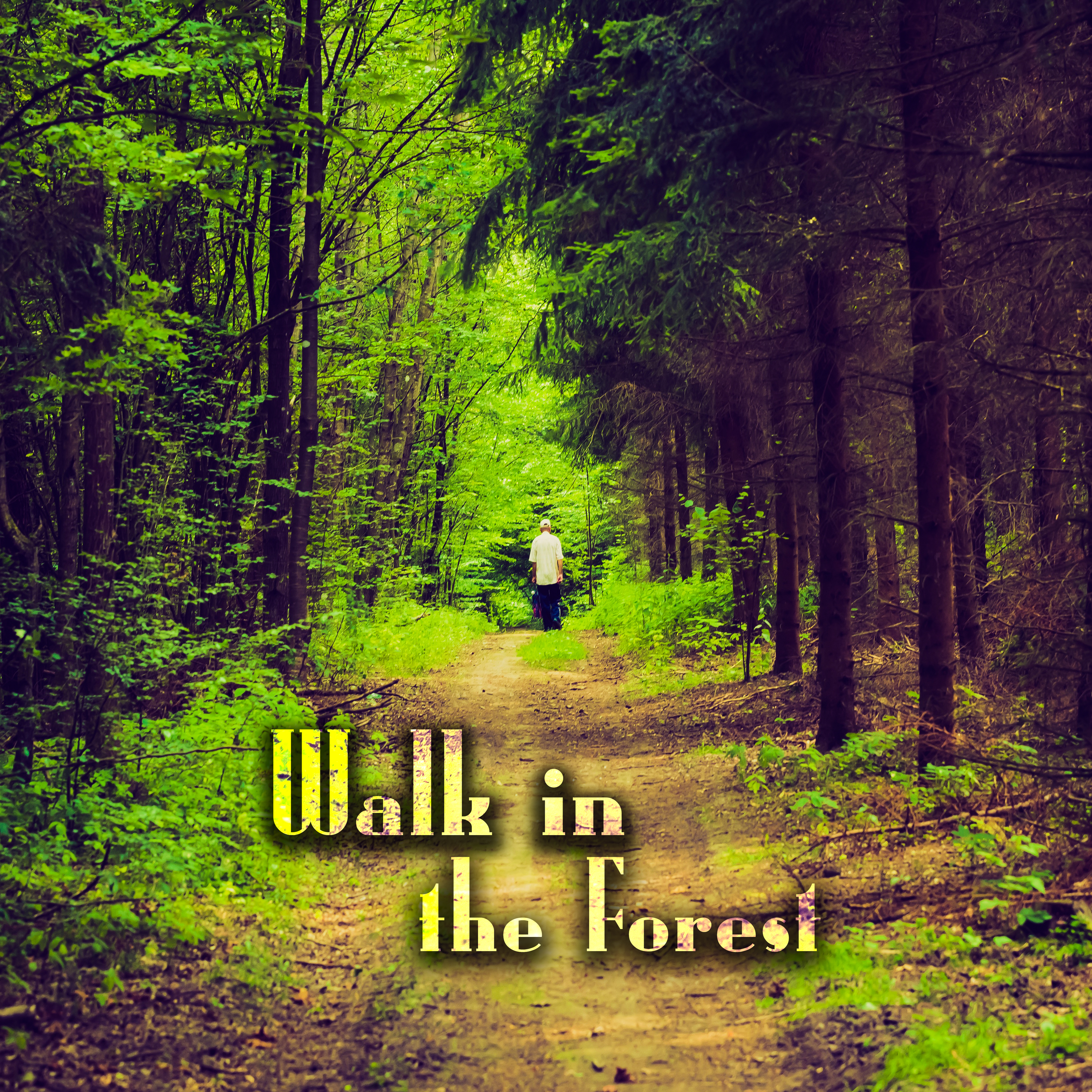 Walk in the Forest  Nature Relaxing Sounds, New Age Music, Stress Relief