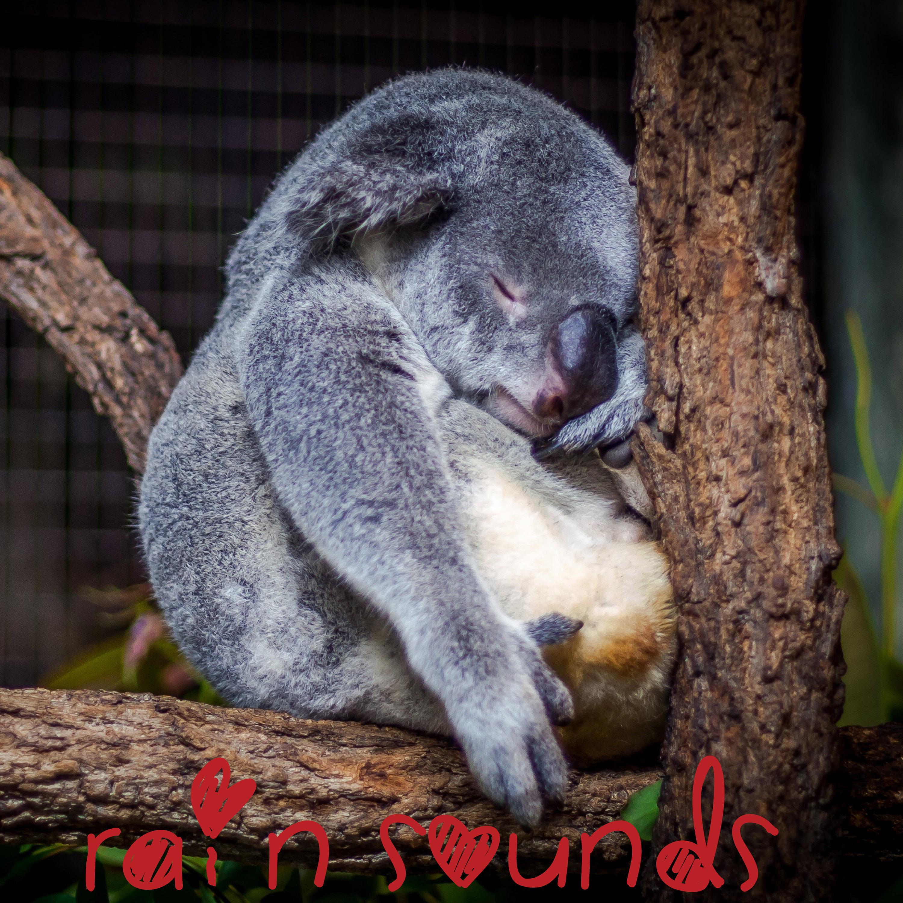 18 New Rain Tracks -Natural Rain Noises for Meditation