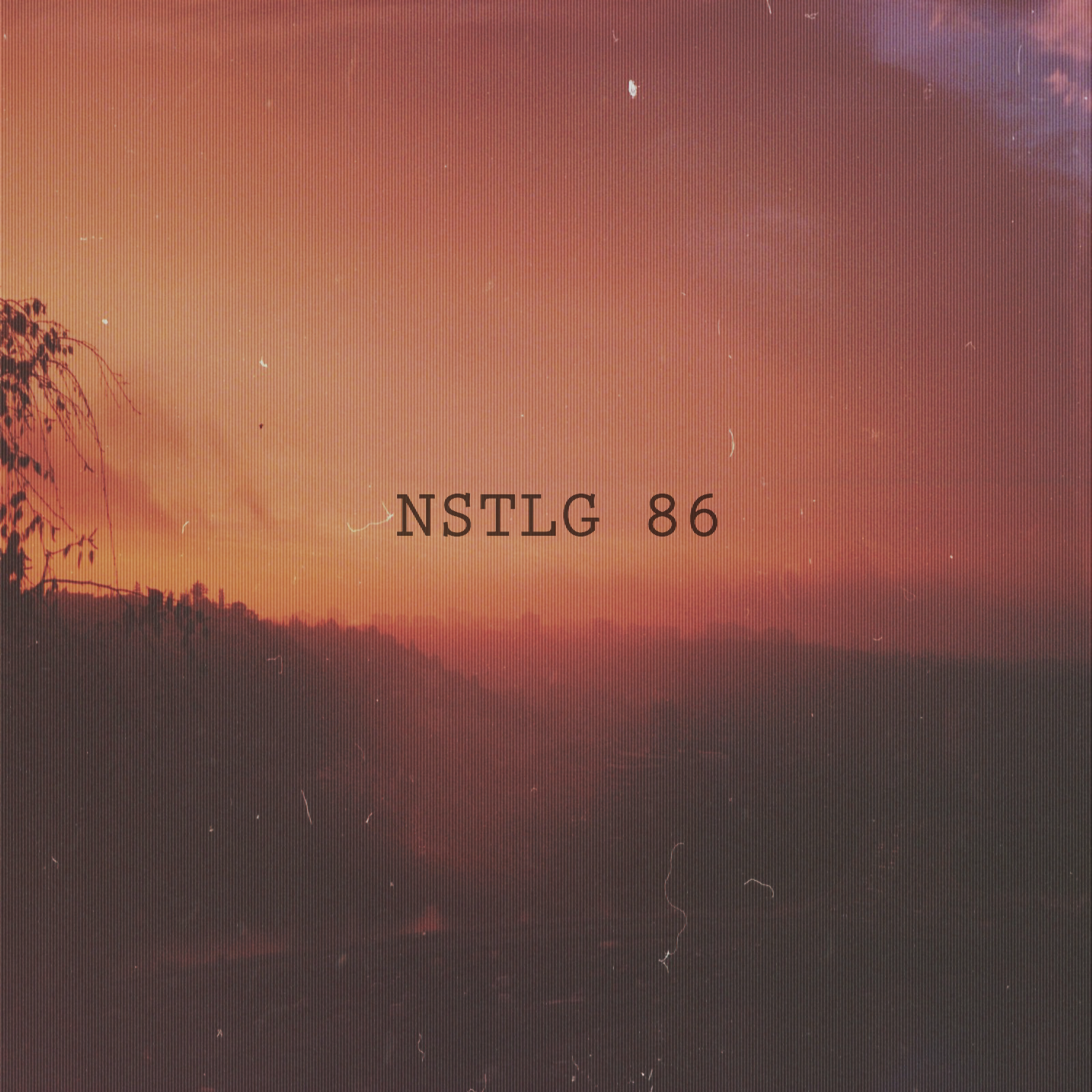 NSTLG 86