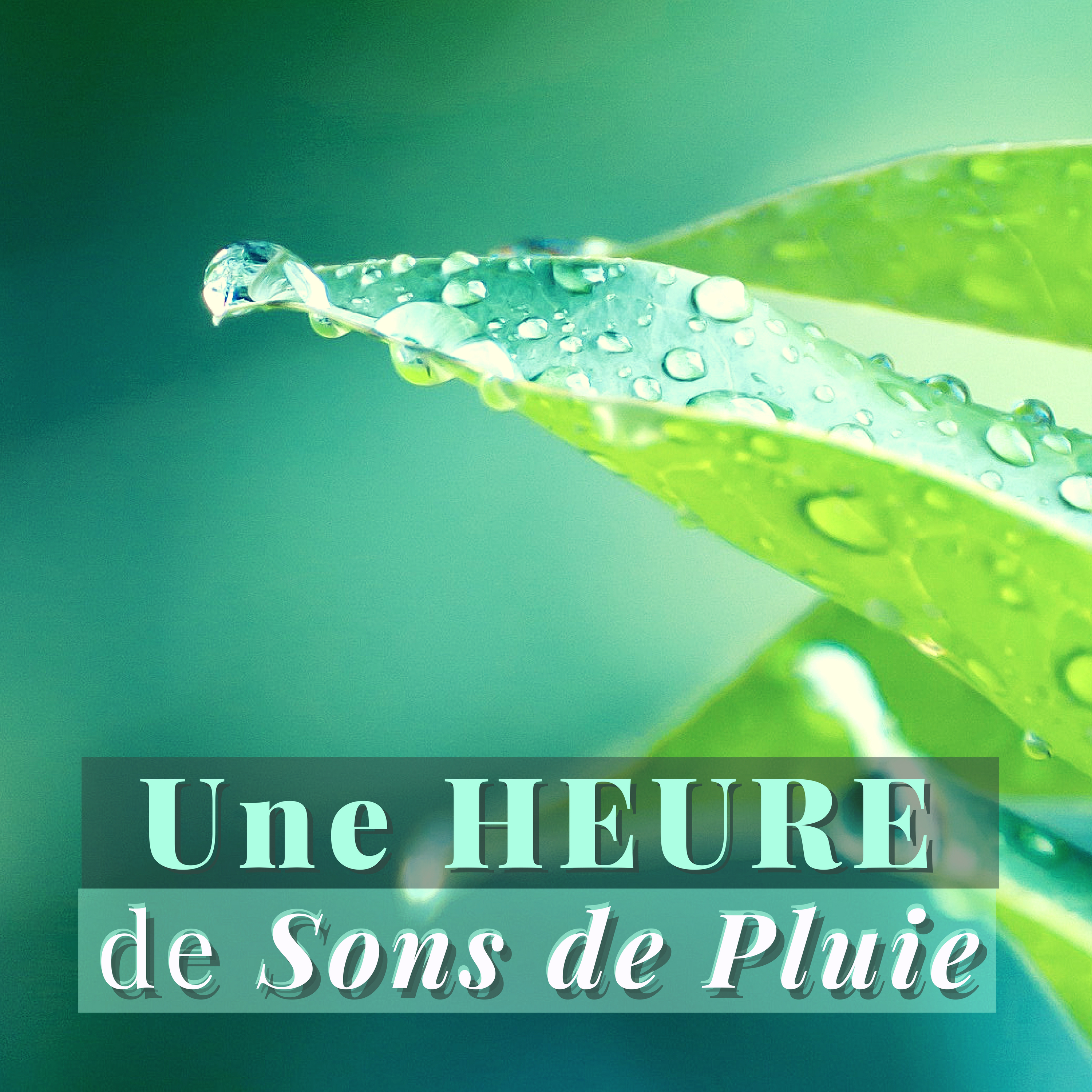 Une Heure de Sons de Pluie - Sons de la nature relaxante, bruit blanc pur pour sommeil profond