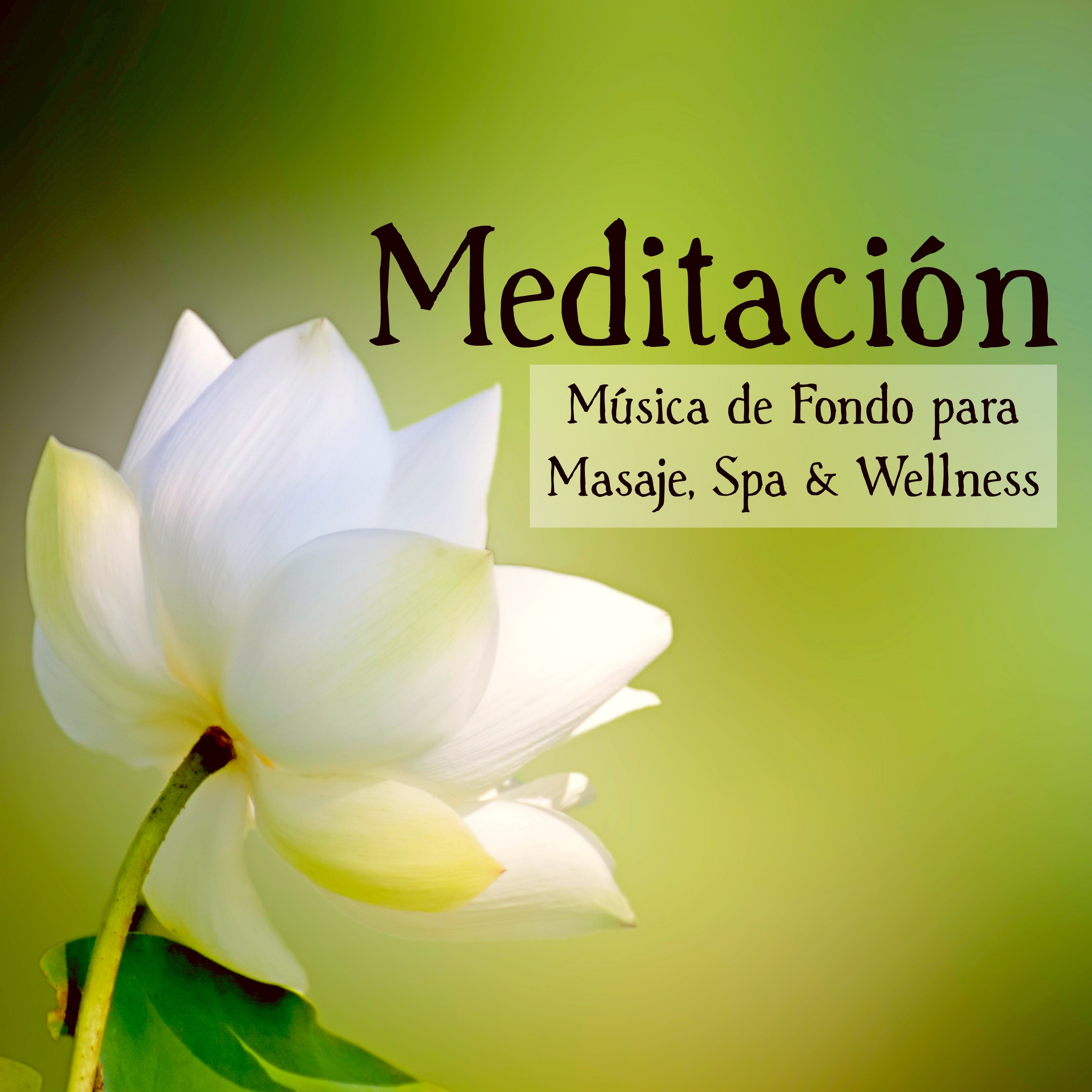 Meditacion Plena