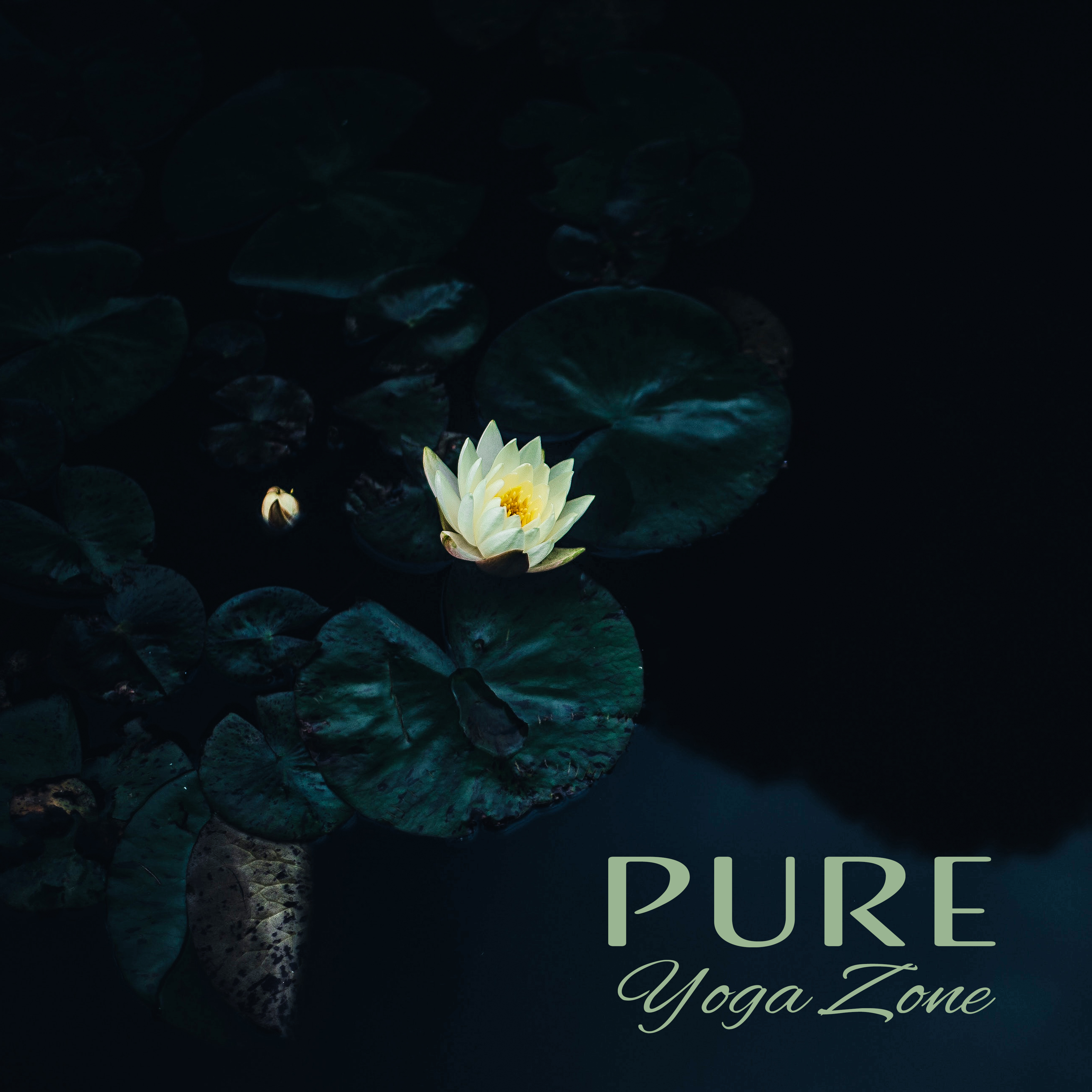 Pure Yoga Zone  New Age Music for Yoga Meditation, Zen, Healing Bliss, Relax  Contemplation