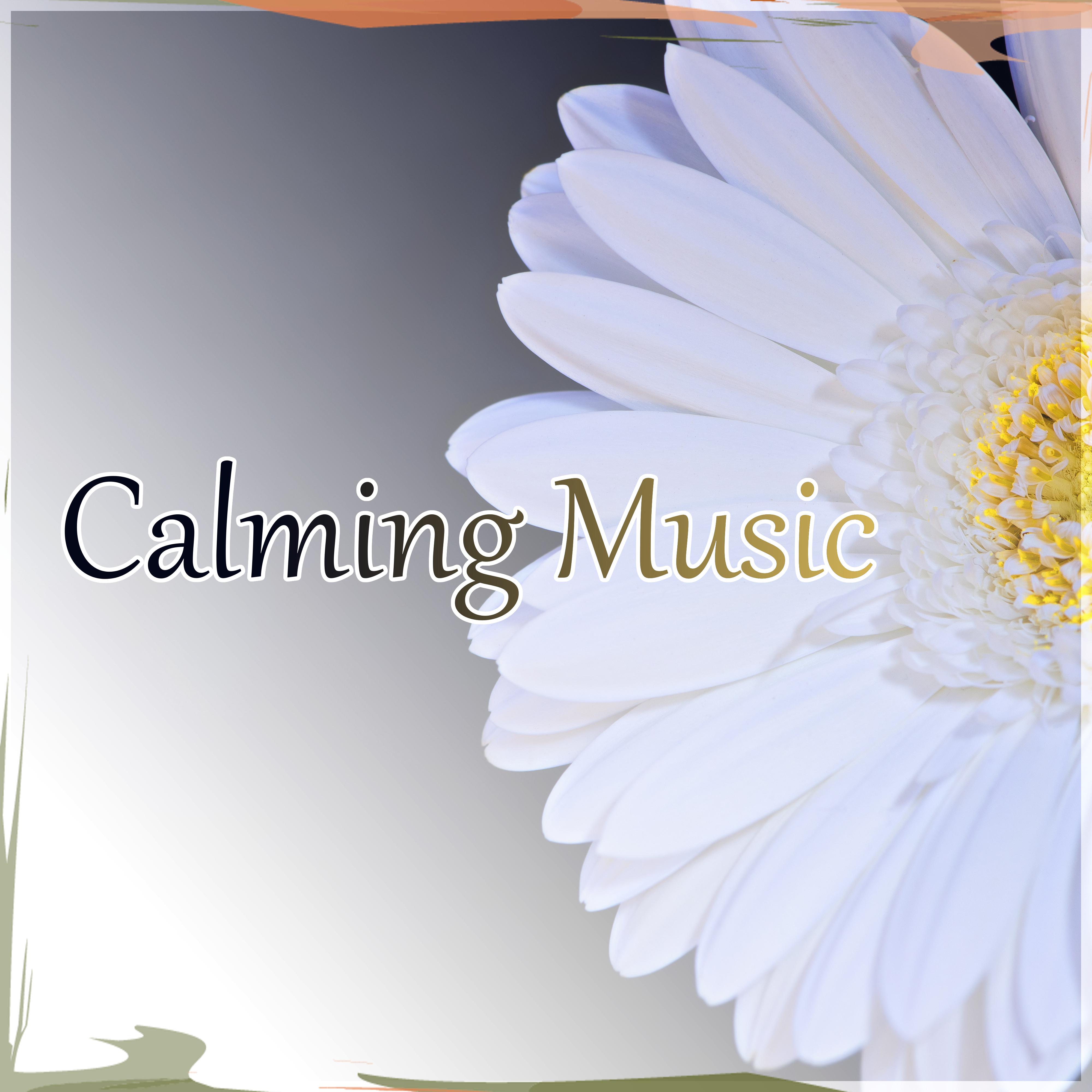 Calming Music  Sleep All Night Quietly, Natural Music for Healing Through Sound and Touch, Sleep Music to Help You Fall Asleep Easily