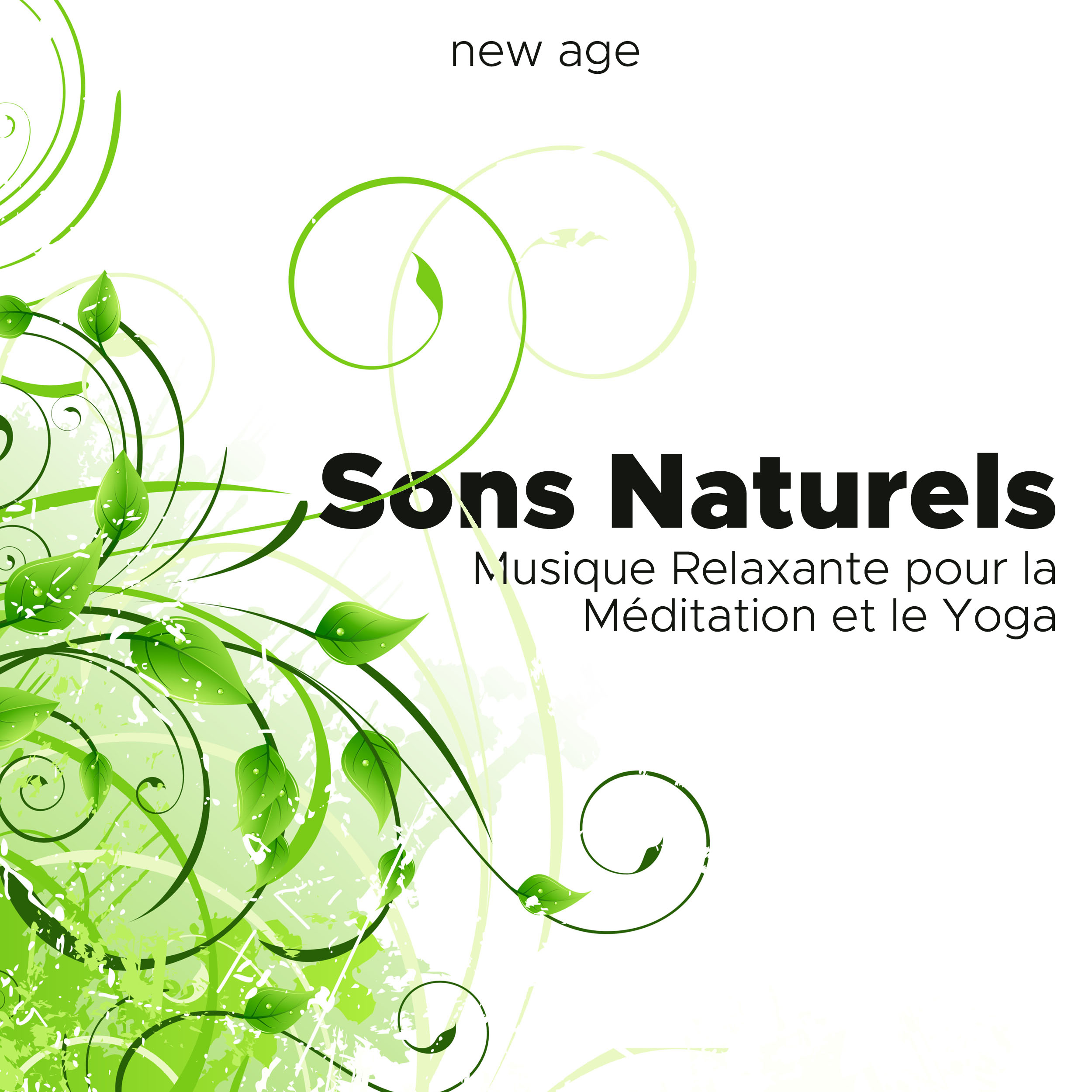 Sons Naturels  Musique Relaxante pour la Me ditation et le Yoga