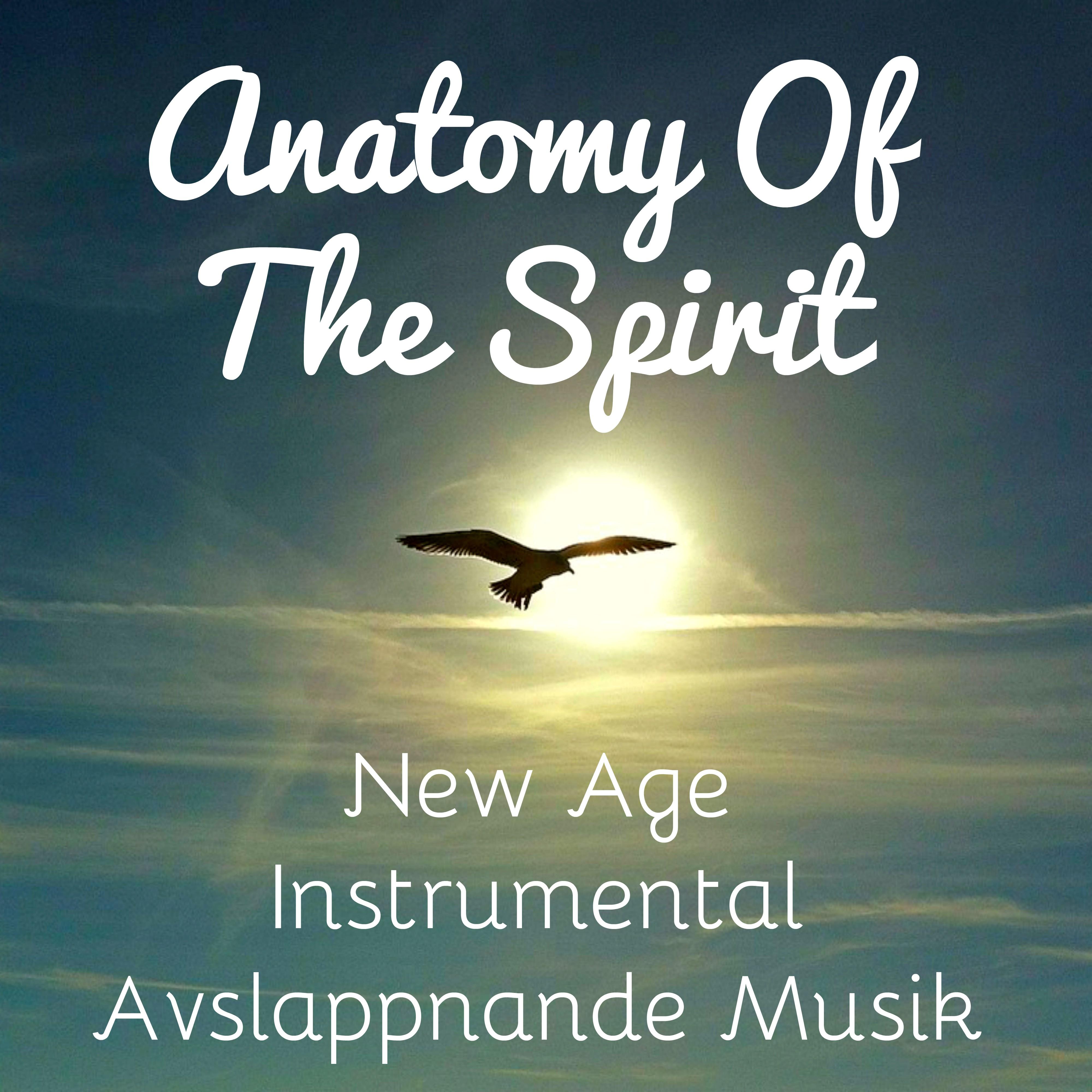 Anatomy Of The Spirit  New Age Instrumental Avslappnande Musik f r Ayurvedisk Massage V gledd Meditation och Djup S mn