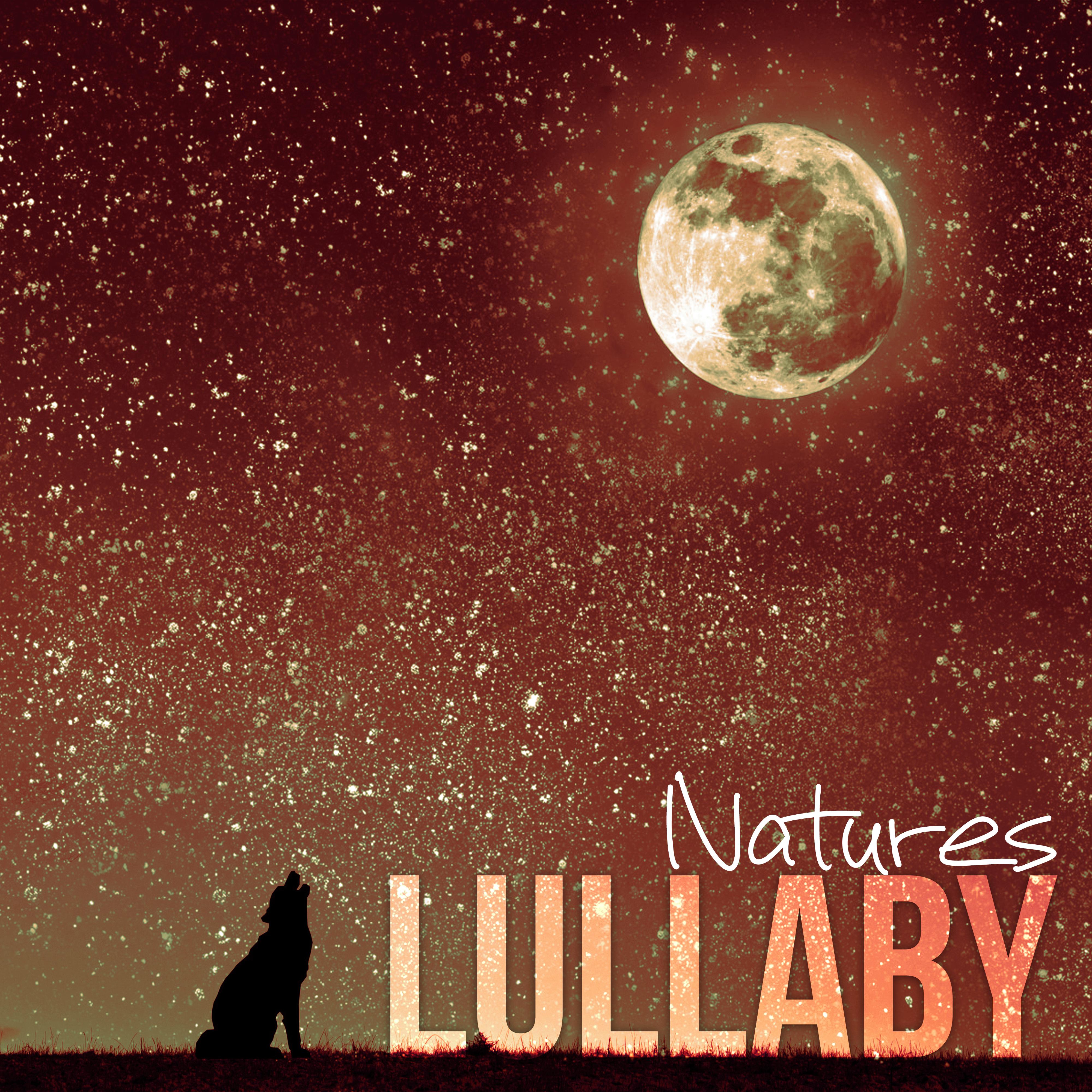 Natures Lullaby - Meditation for Adult and Baby, White Noises and Nature Sounds to Relax and Fall Asleep
