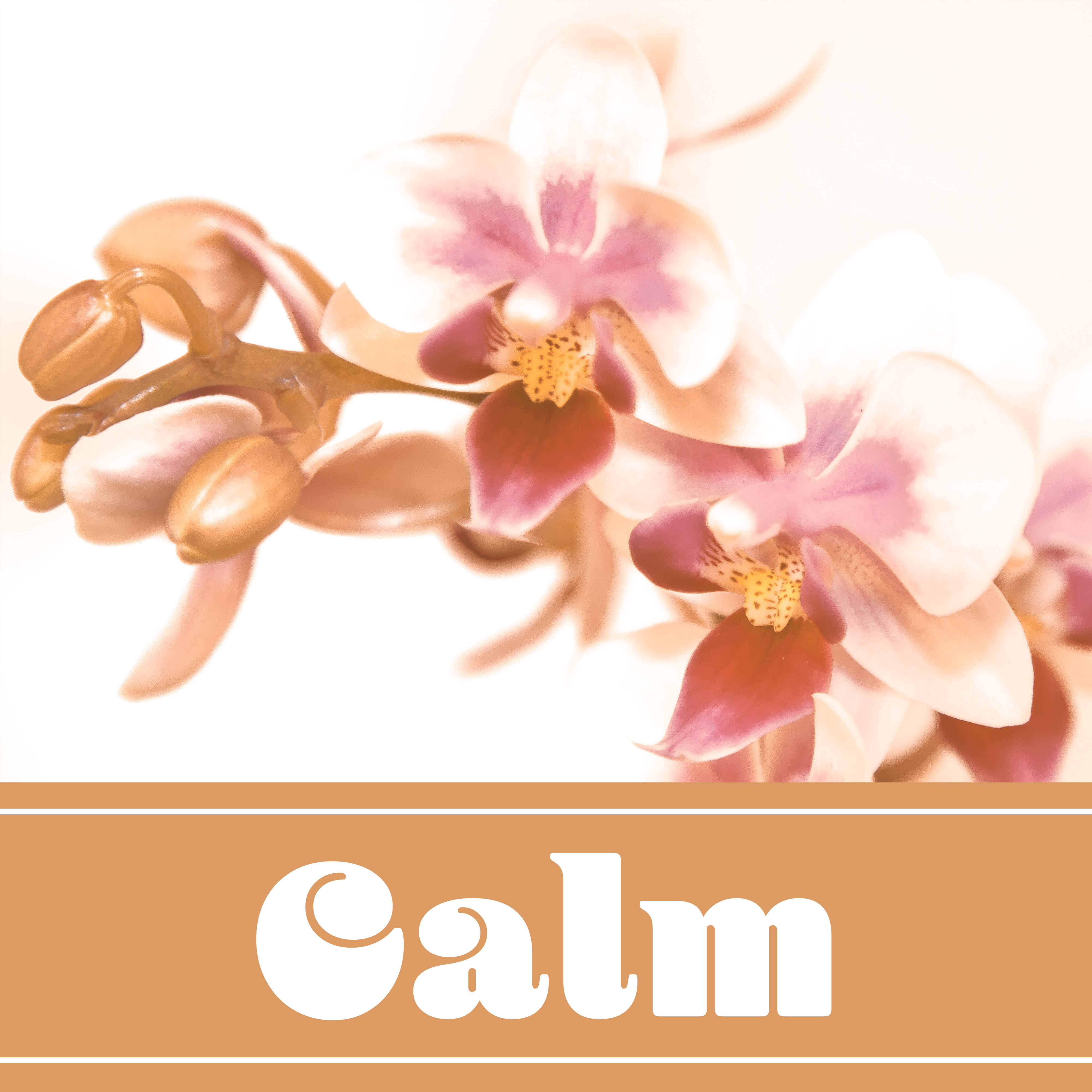 Calm  New Age, Music for Relaxation, Meditation Music, Calming Songs for Massage, Relax Trip