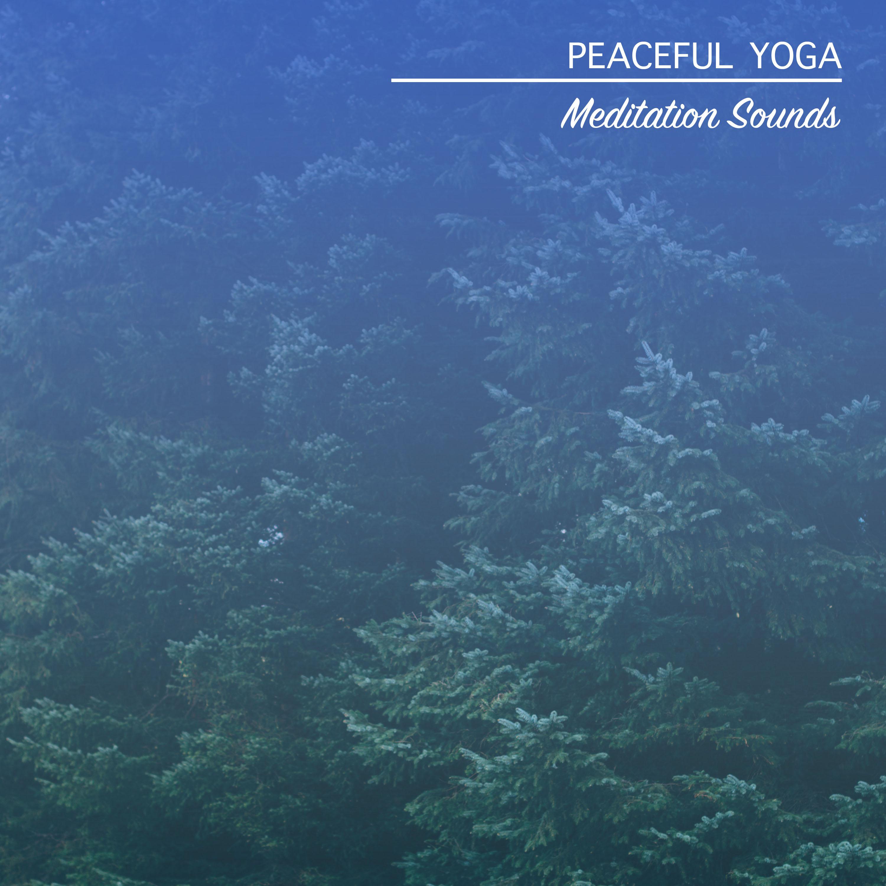 15 Peaceful Yoga and Meditation Sounds
