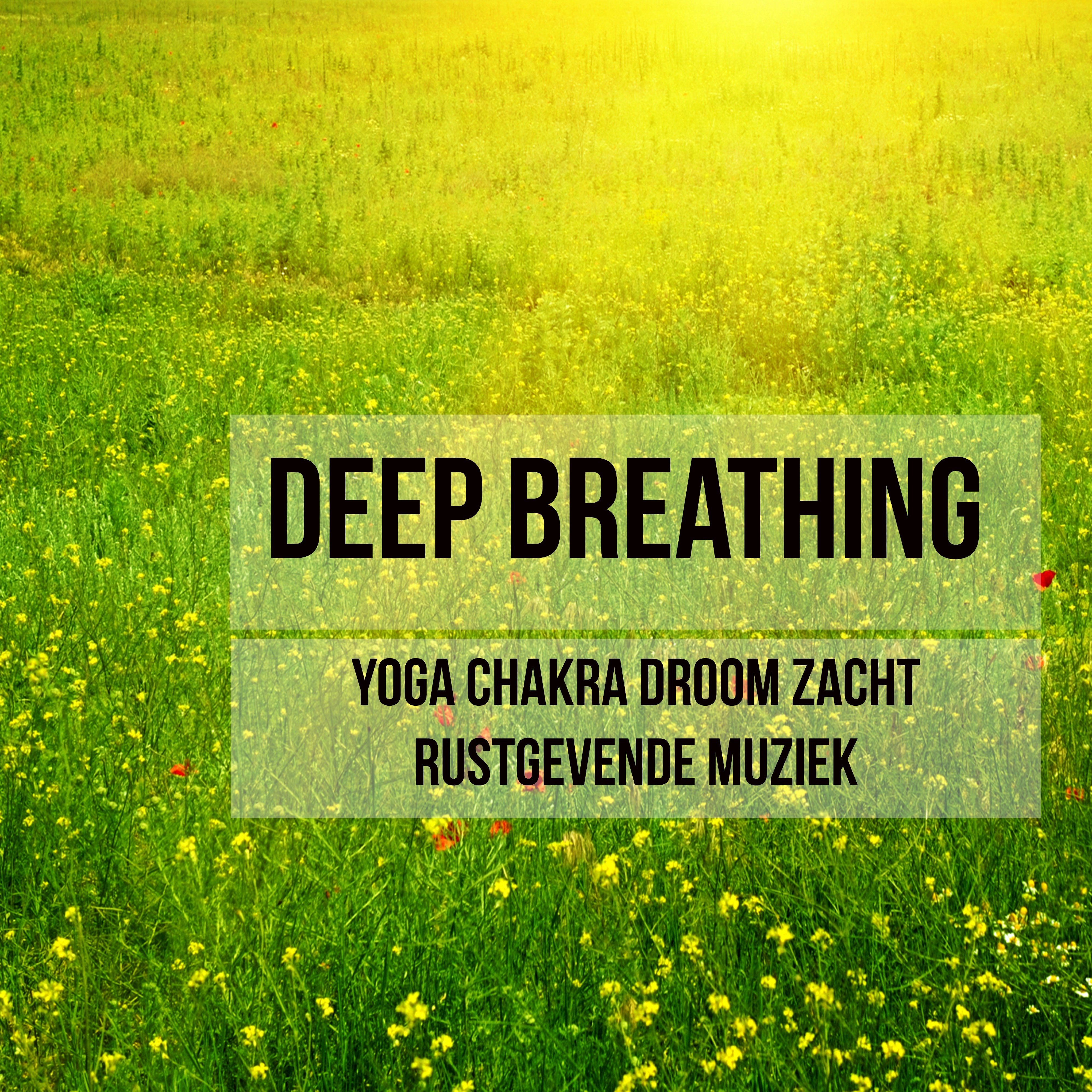 Deep Breathing - Yoga Chakra Droom Zacht Rustgevende Muziek voor Diepe Meditatie Chakra Openen met Instrumentale Spa-Behandelingen Spirituele Geluiden