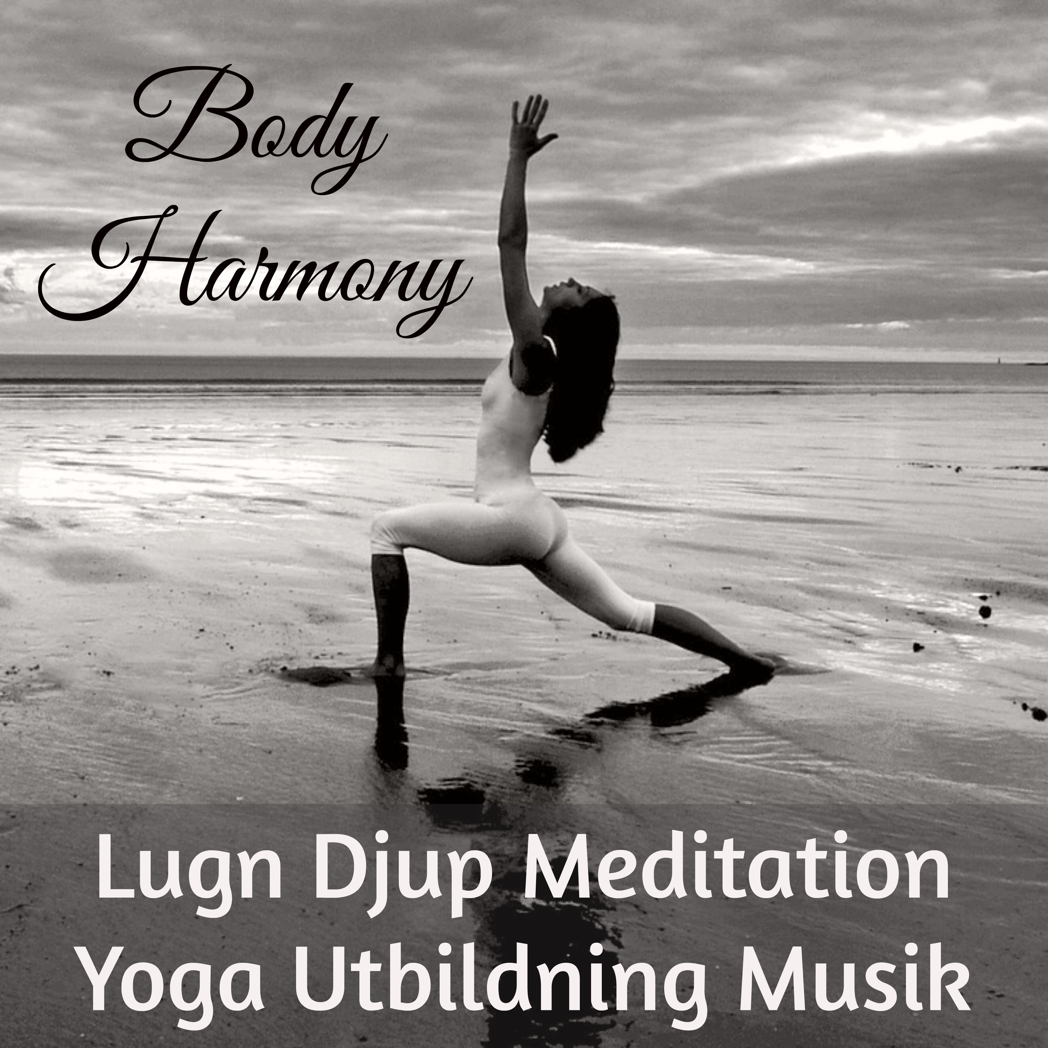 Body Harmony  Lugn Djup Meditation Yoga Utbildning Musik f r Chakra Rensning Mindfulnesstr ning H lsa och V lbefinnande