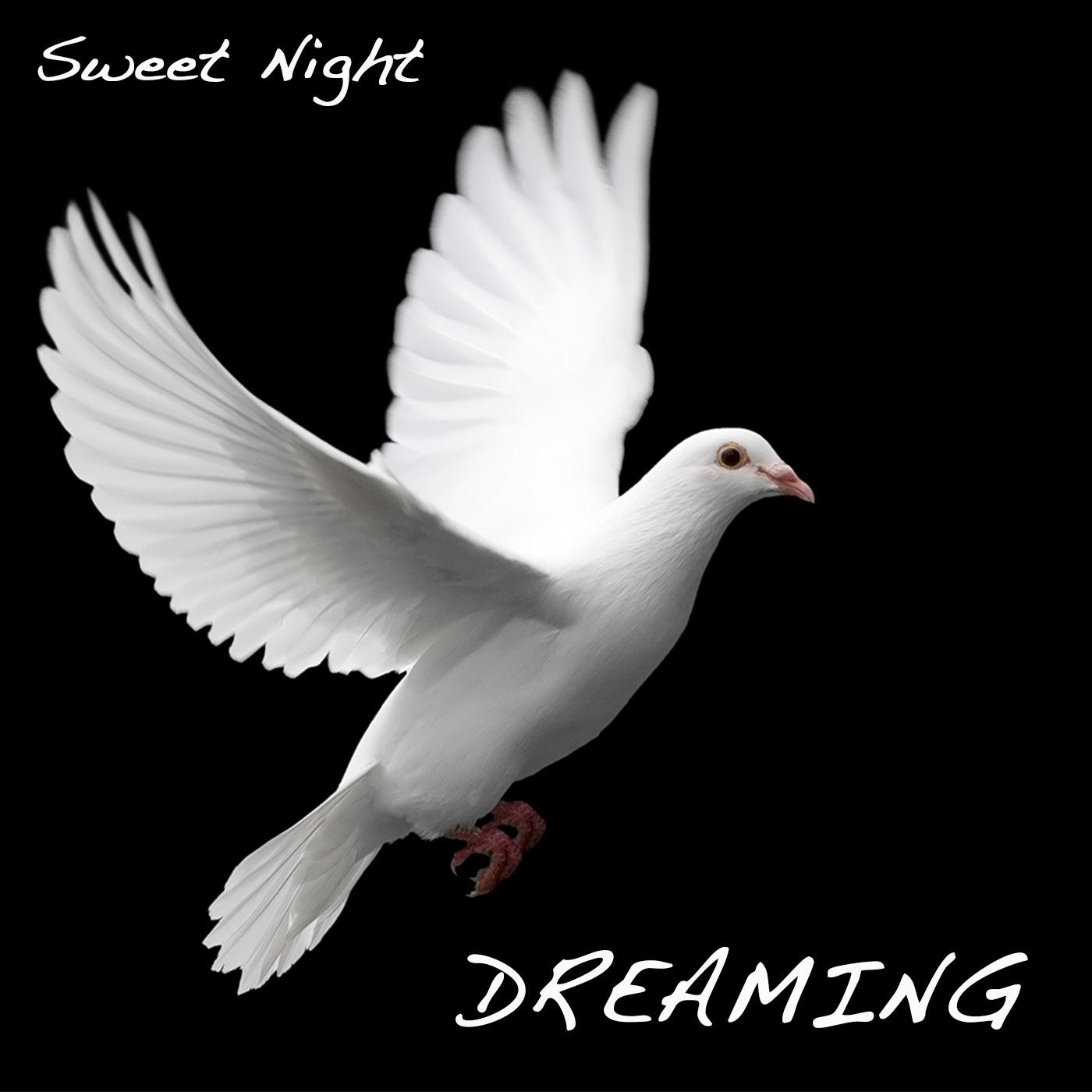 Dreaming with Sleep Music: Sweet Night, Sweet Dreams, Liquid Music for Sleeping
