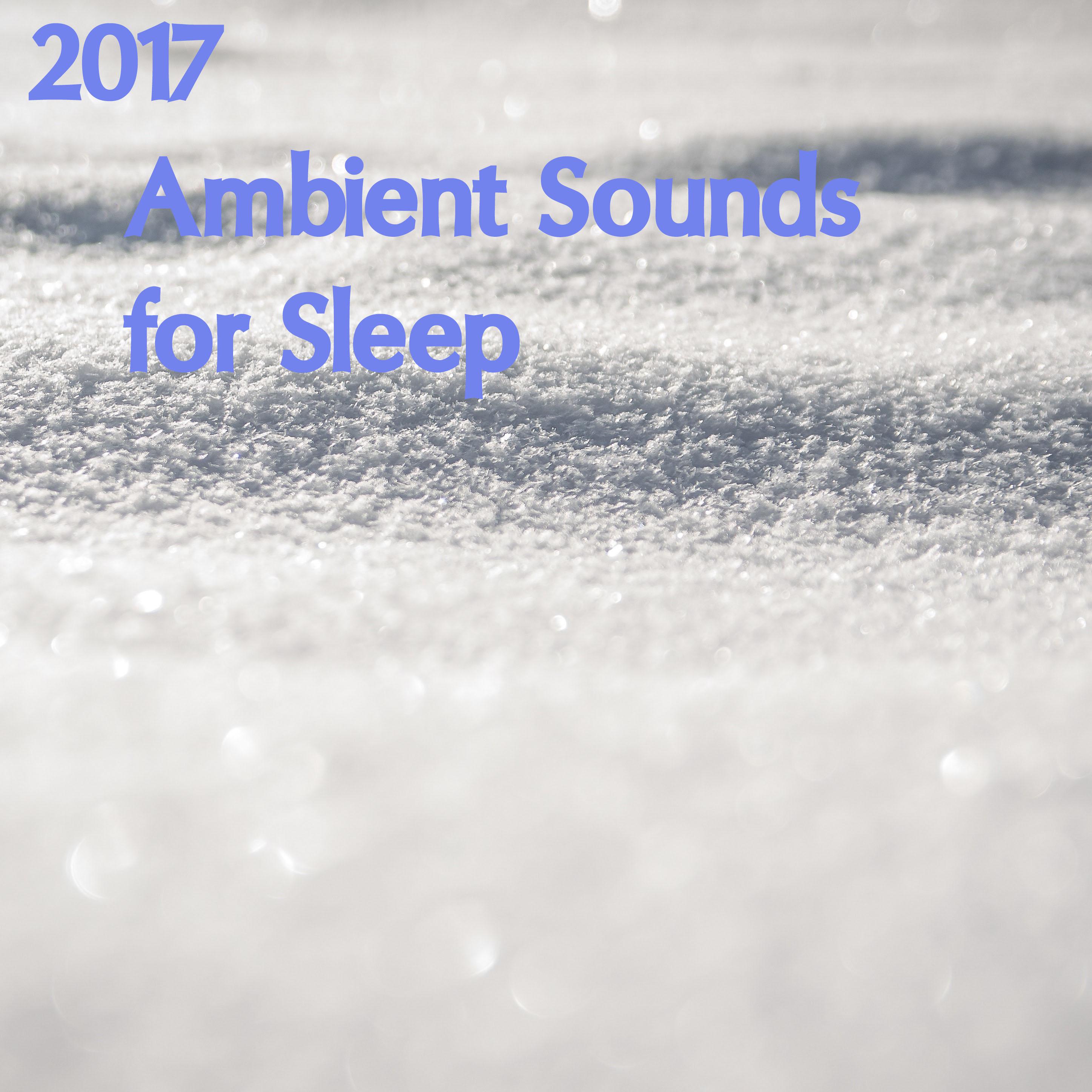 2017 Ambient Sound Collection - Help You and Your Baby Sleep