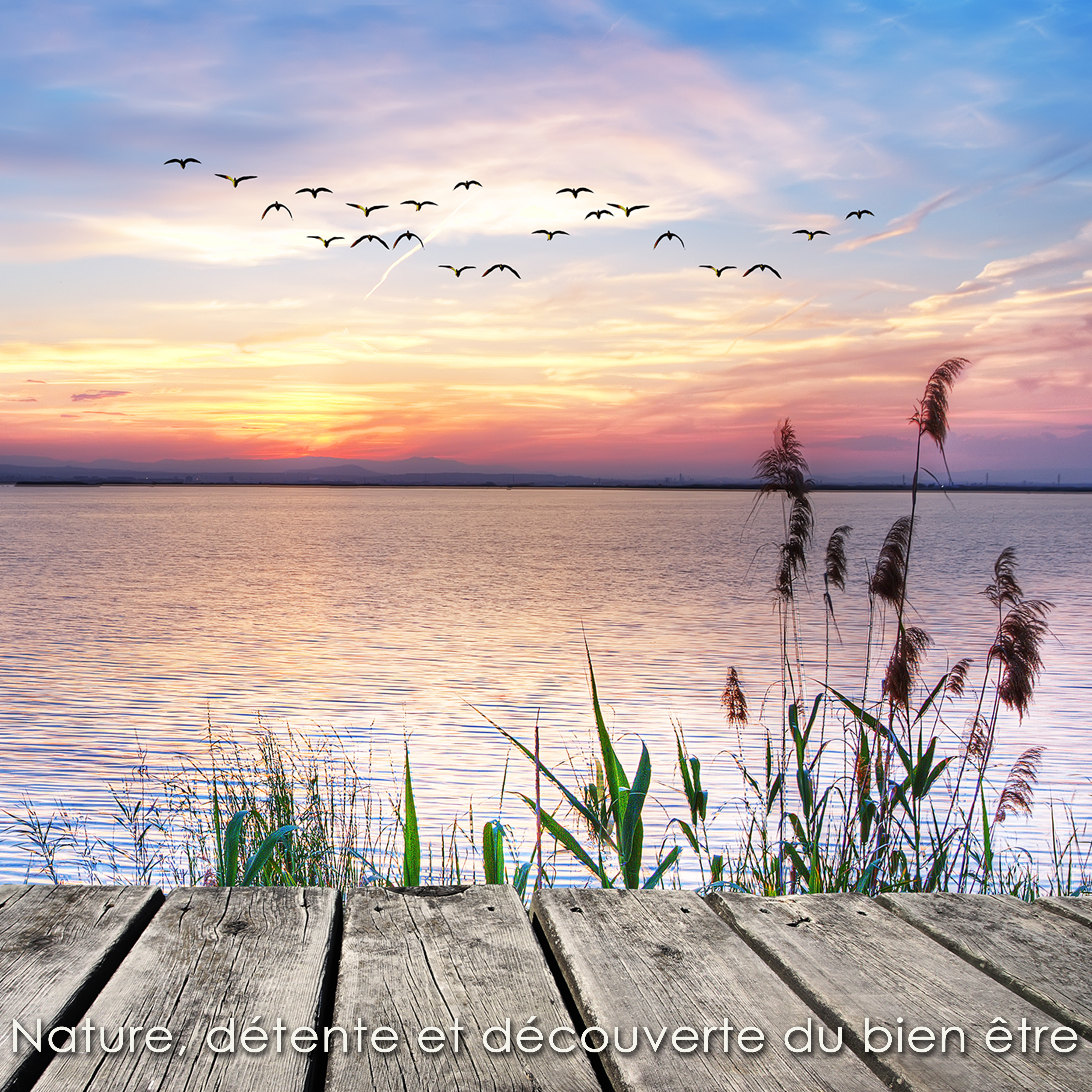 Nature, de tente et de couverte du bien tre  musique douce et relaxante pour relax, me ditation, massage et repos