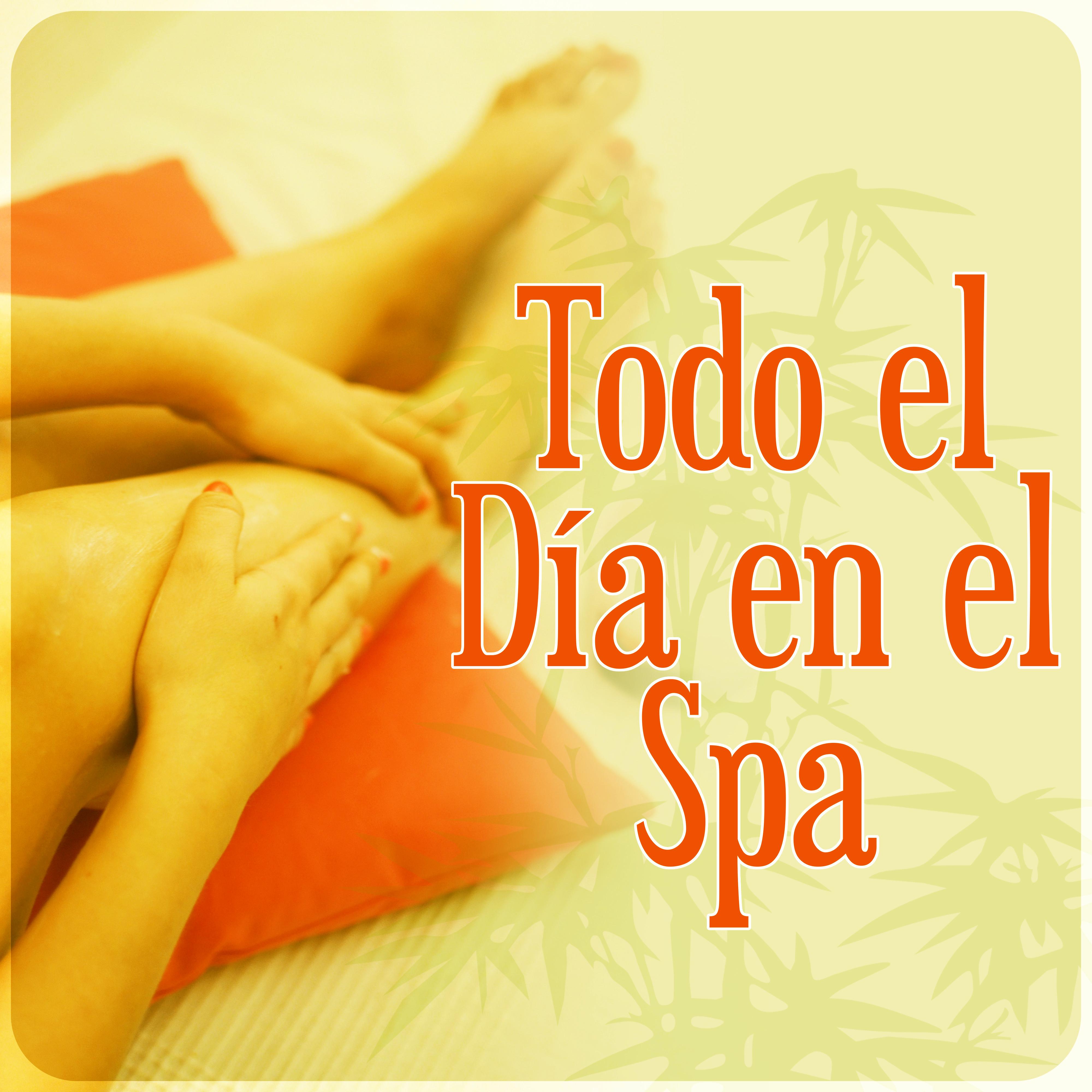 Todo el Di a en el Spa  Maravilloso Spa, Sonidos de la Naturaleza, Musica de Meditacion, Mu sica SPA para Masaje y Relajacio n Ejercicios, Relaje Su Cuerpo y Su Alma Usando Aromaterapia,