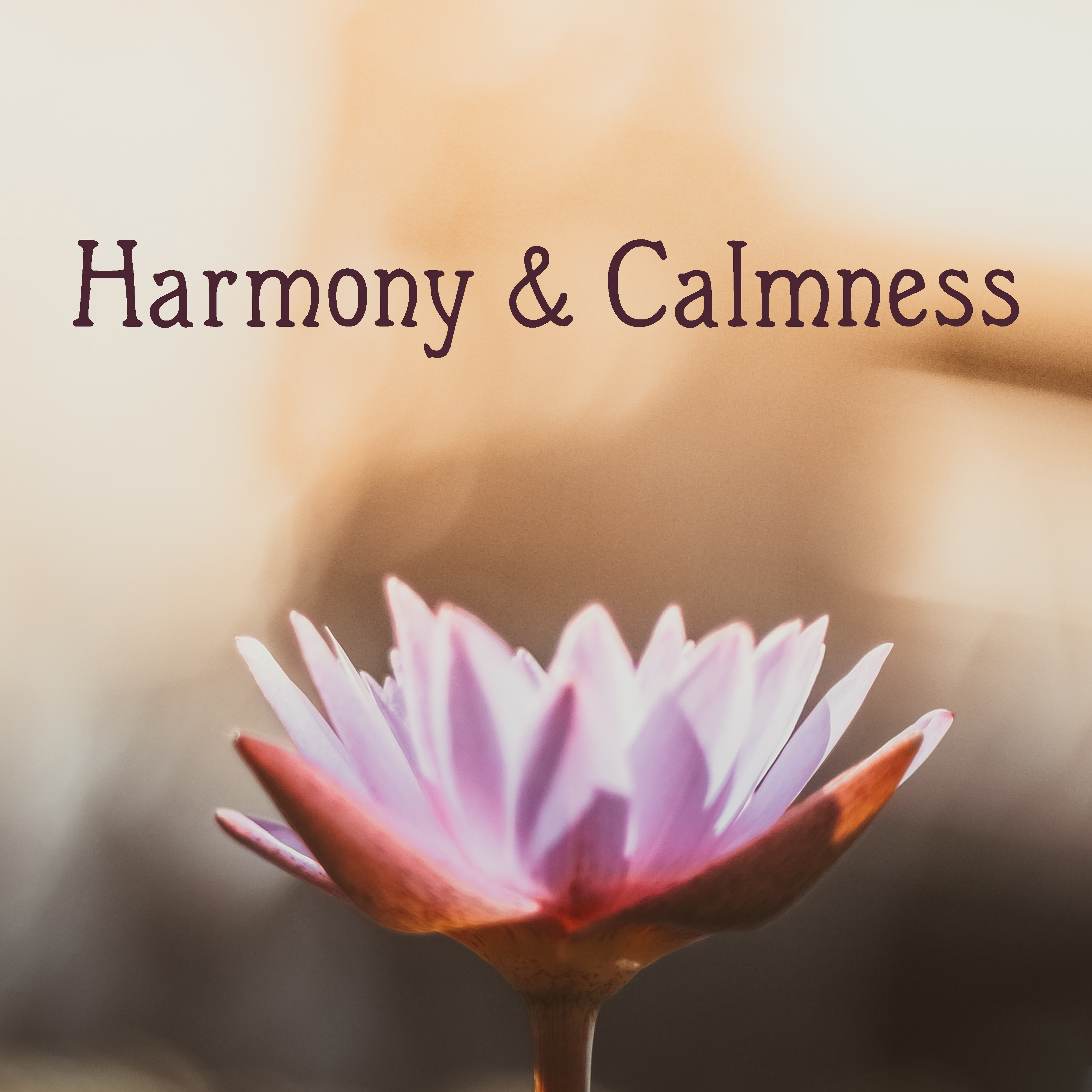 Harmony  Calmness  Ambient Music, Training Yoga, Deep Sleep, Reiki, Zen, Relax, Deep Meditation, Calm Down
