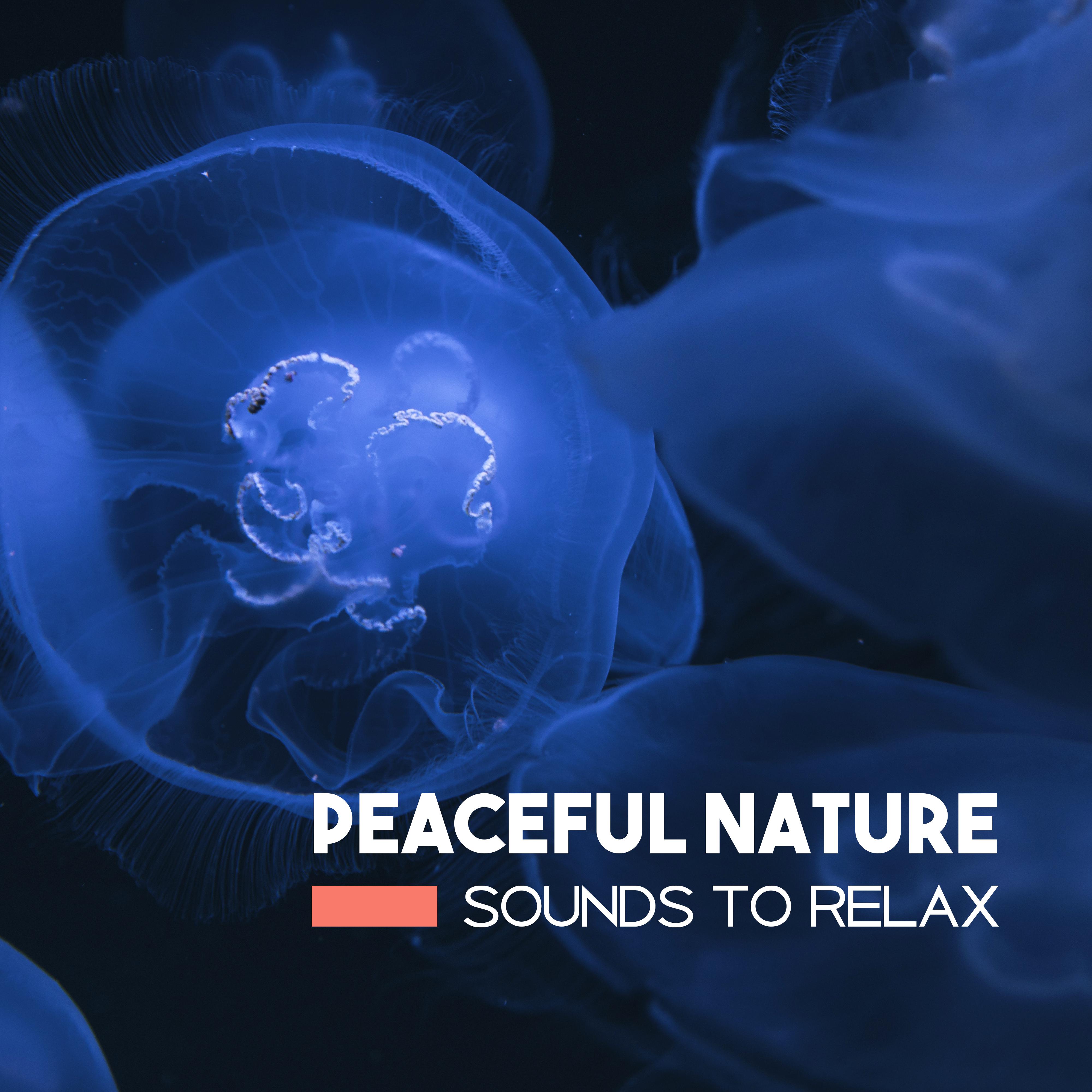 Peaceful Nature Sounds to Relax  Stress Relief, Calm Down, Easy Listening, Healing Therapy, Peaceful Melodies