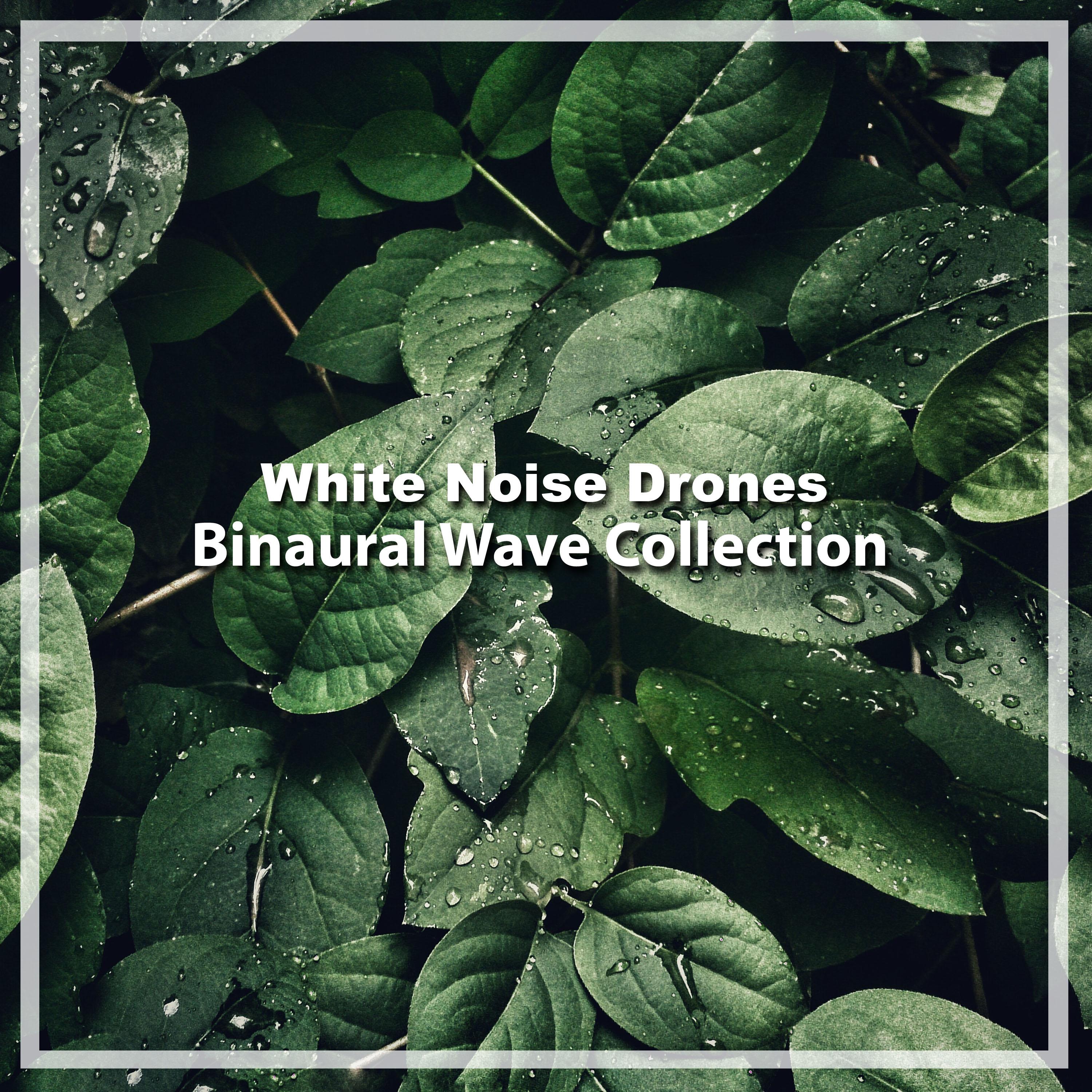 12 Drones of White Noise: Binaural Wave Collection