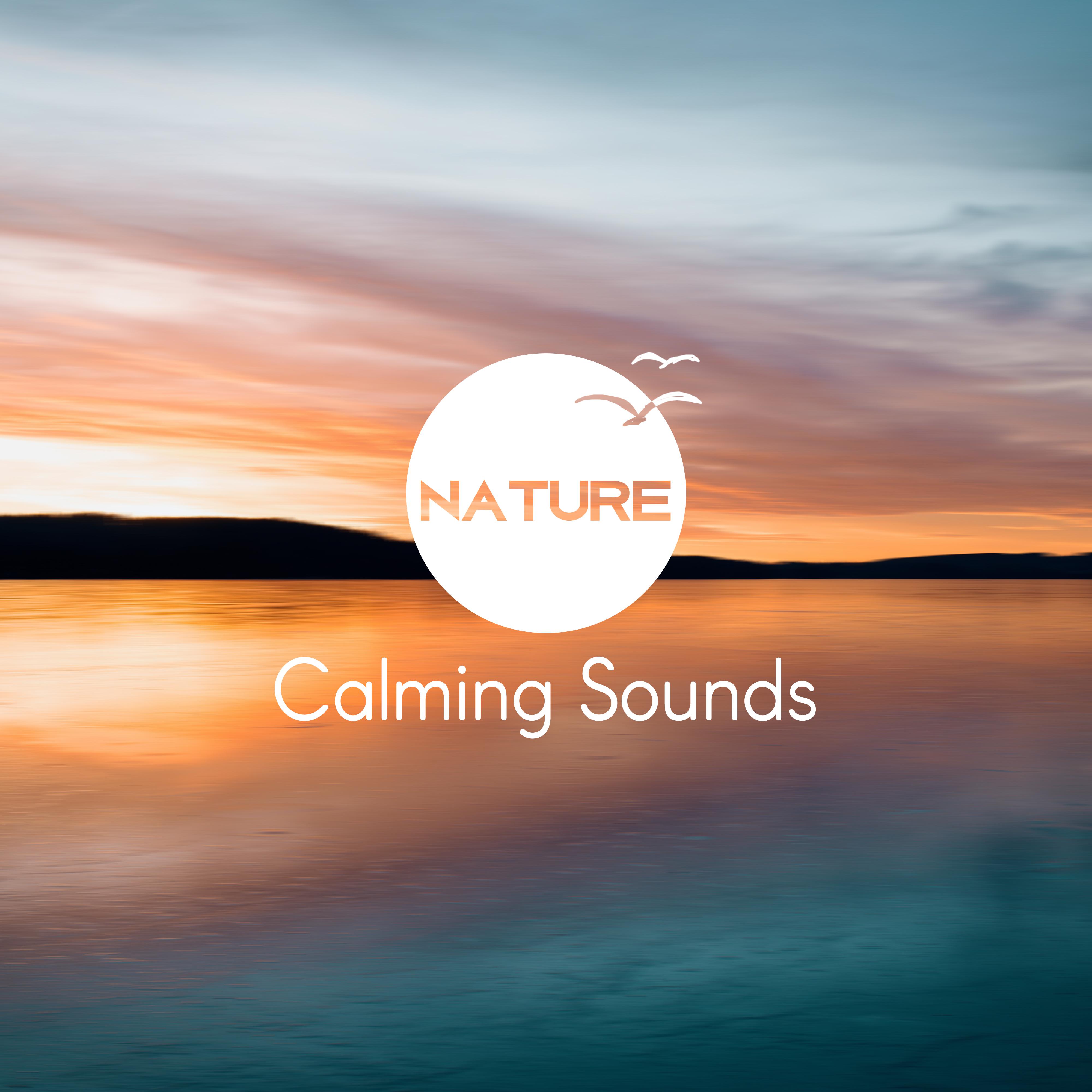 Nature Calming Sounds  Music to Relax, Sounds to Rest, New Age Calmness, Soft Ocean Waves