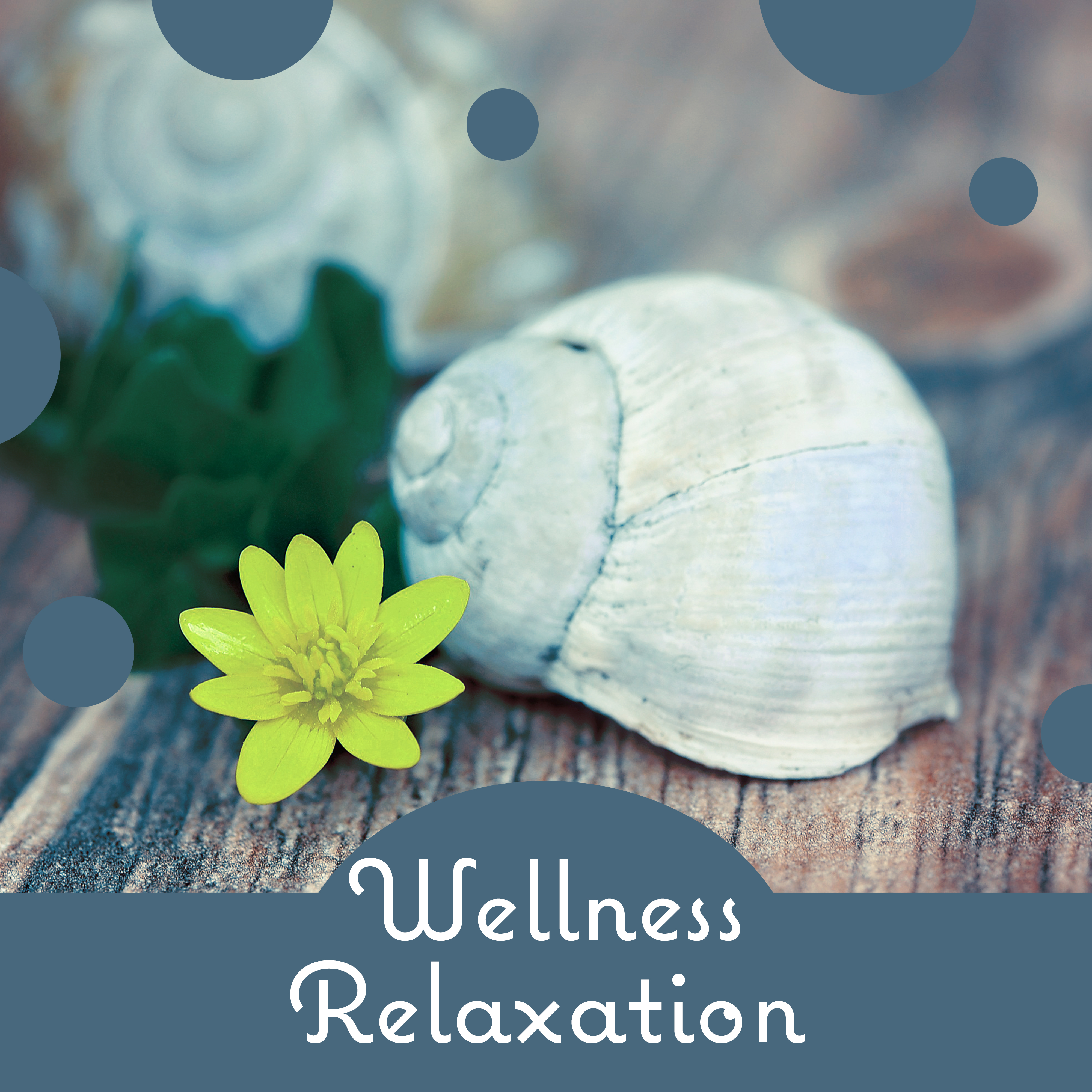 Wellness Relaxation  New Age Ultimate Music, Calming Nature Sounds, Spa Music, Wellness Relaxation, Healing Massage