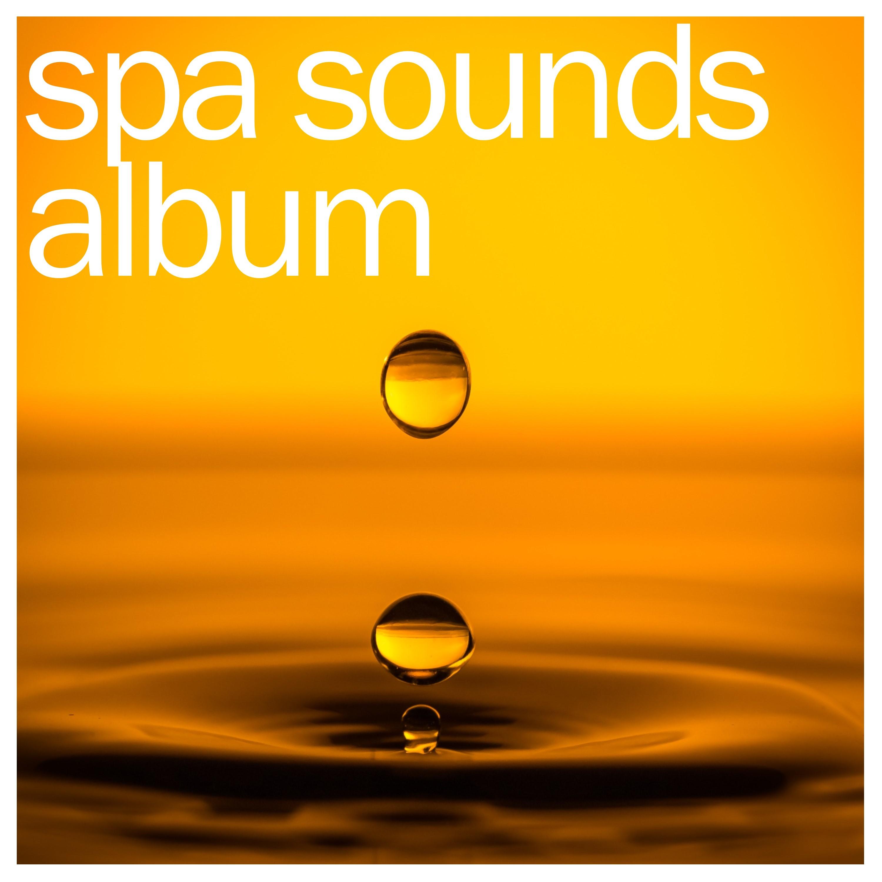 #22 Relaxing Spa and Meditation Sounds