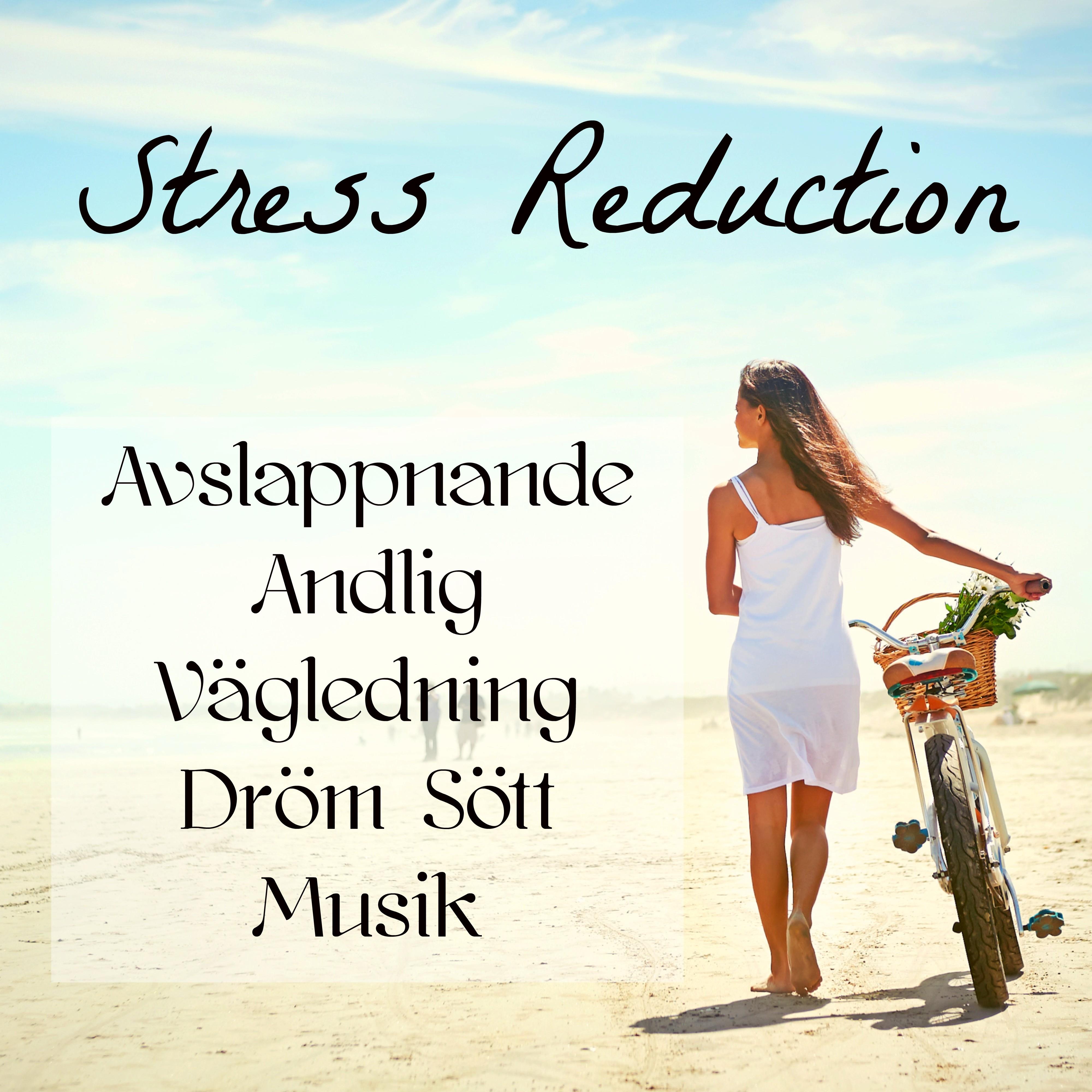 Stress Reduction  Avslappnande Andlig V gledning Dr m S tt Musik f r Ljudterapi Aterf delse och Djup Meditation