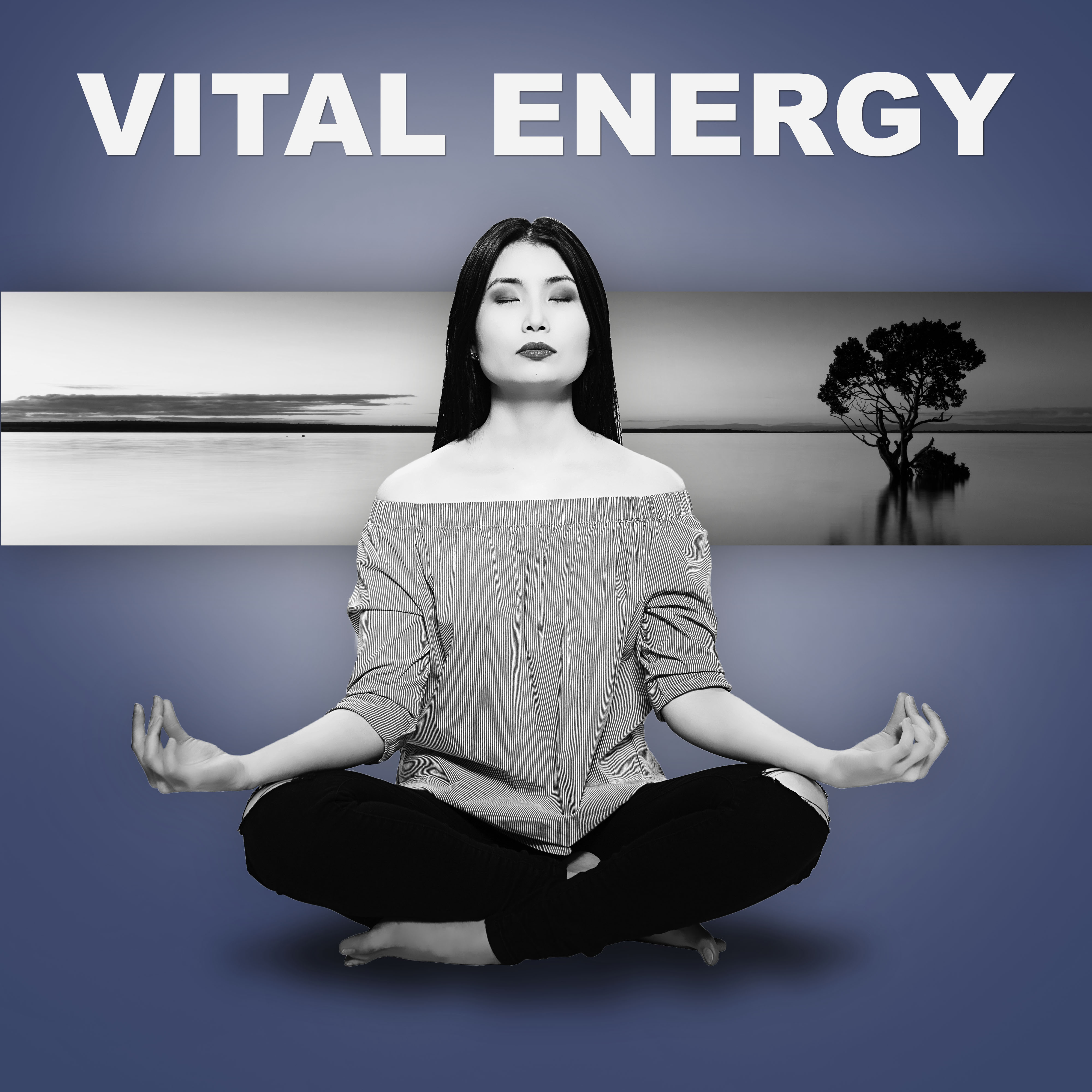 Vital Energy  Healing Meditation, Deep Relaxation Nature Sounds, Ocean Waves, Zen, Awareness, Inner Balance