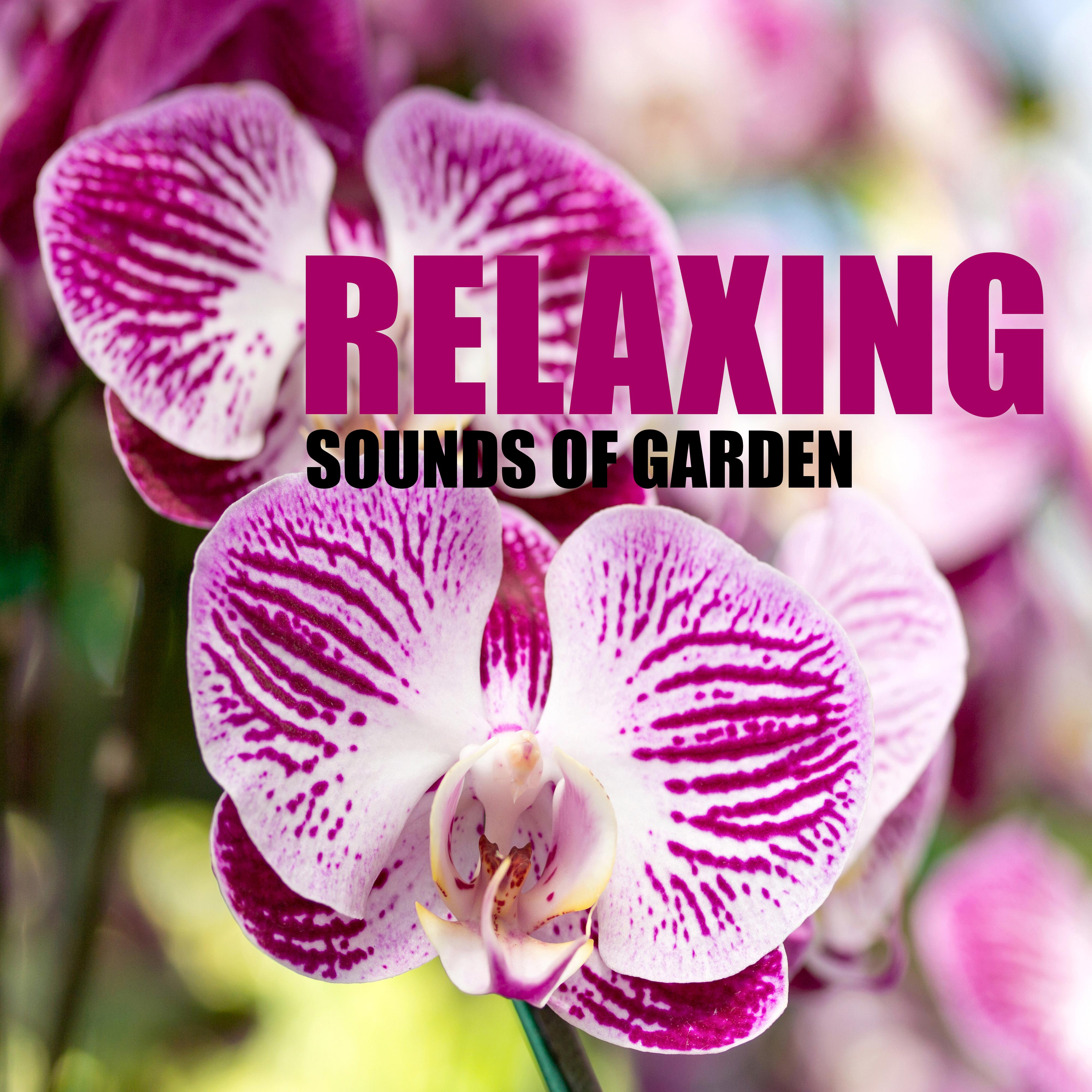 Relaxing Sounds of Garden