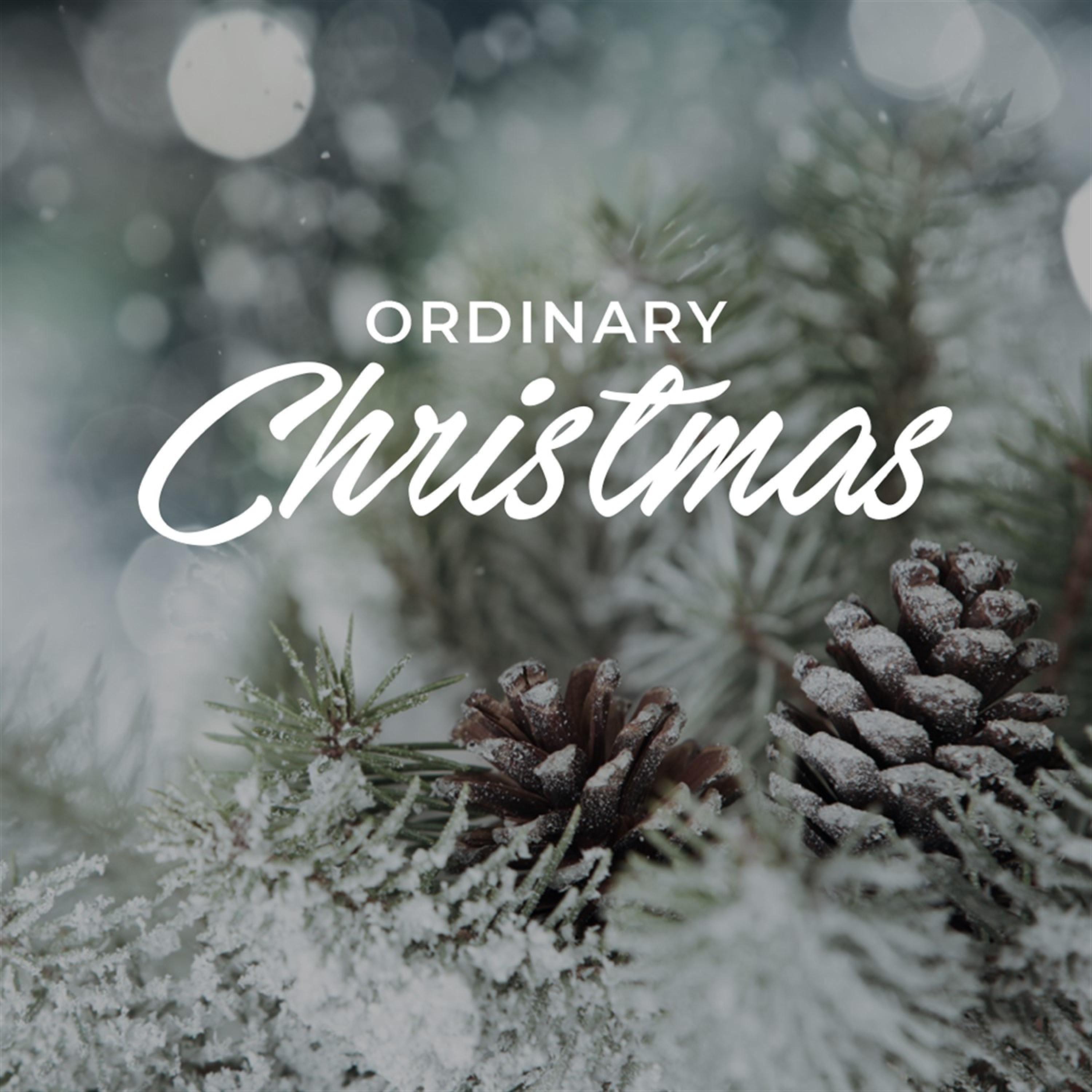 Ordinary Christmas