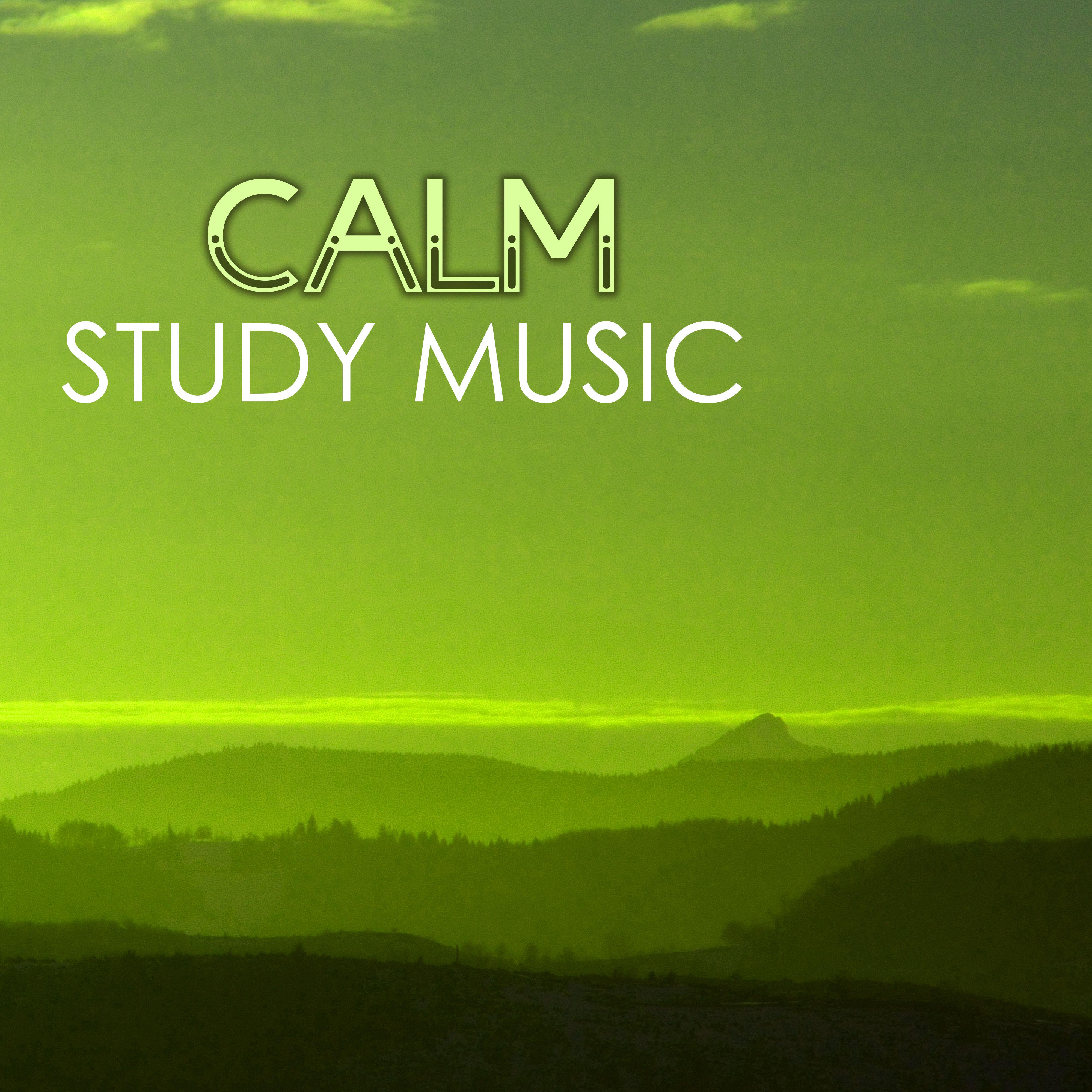 Calm Study Music - Concentration Songs for Exam Preparation