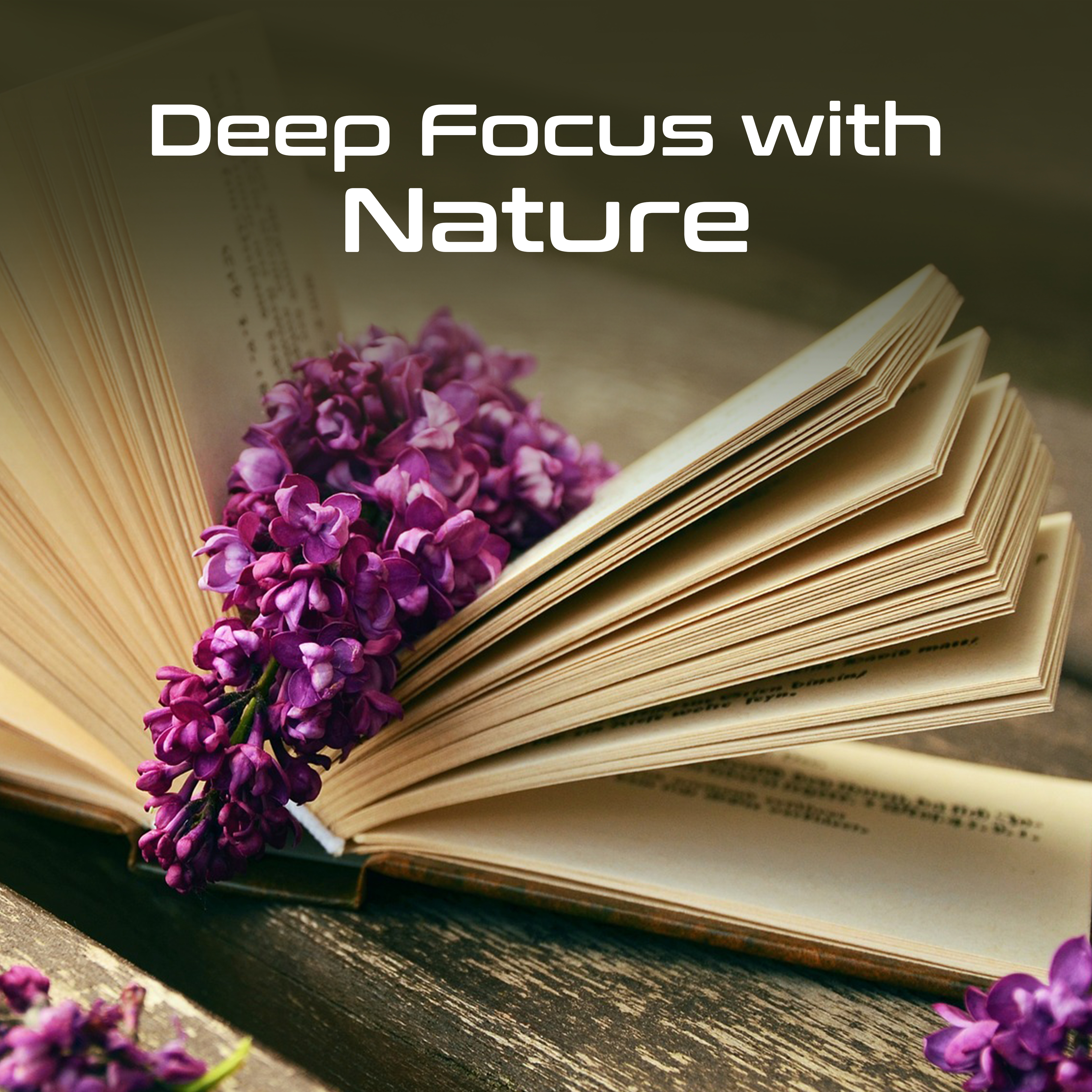 Deep Focus with Nature  Sounds for Study, Power of Mind, Perfect Memory, Easier Learning, Better Concentration