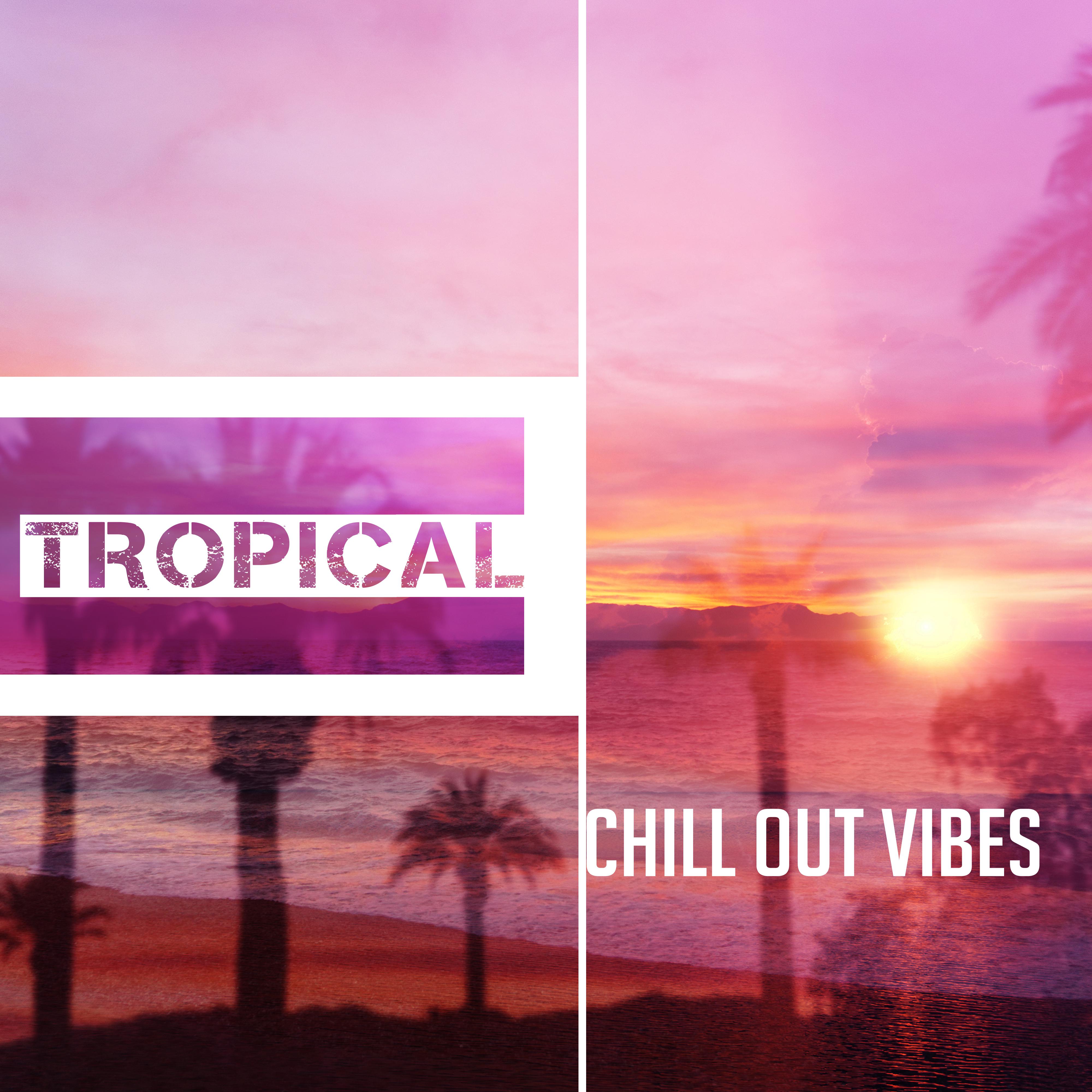 Tropical Chill Out Vibes  Peaceful Waves, Tropical Sounds, Rest  Relax