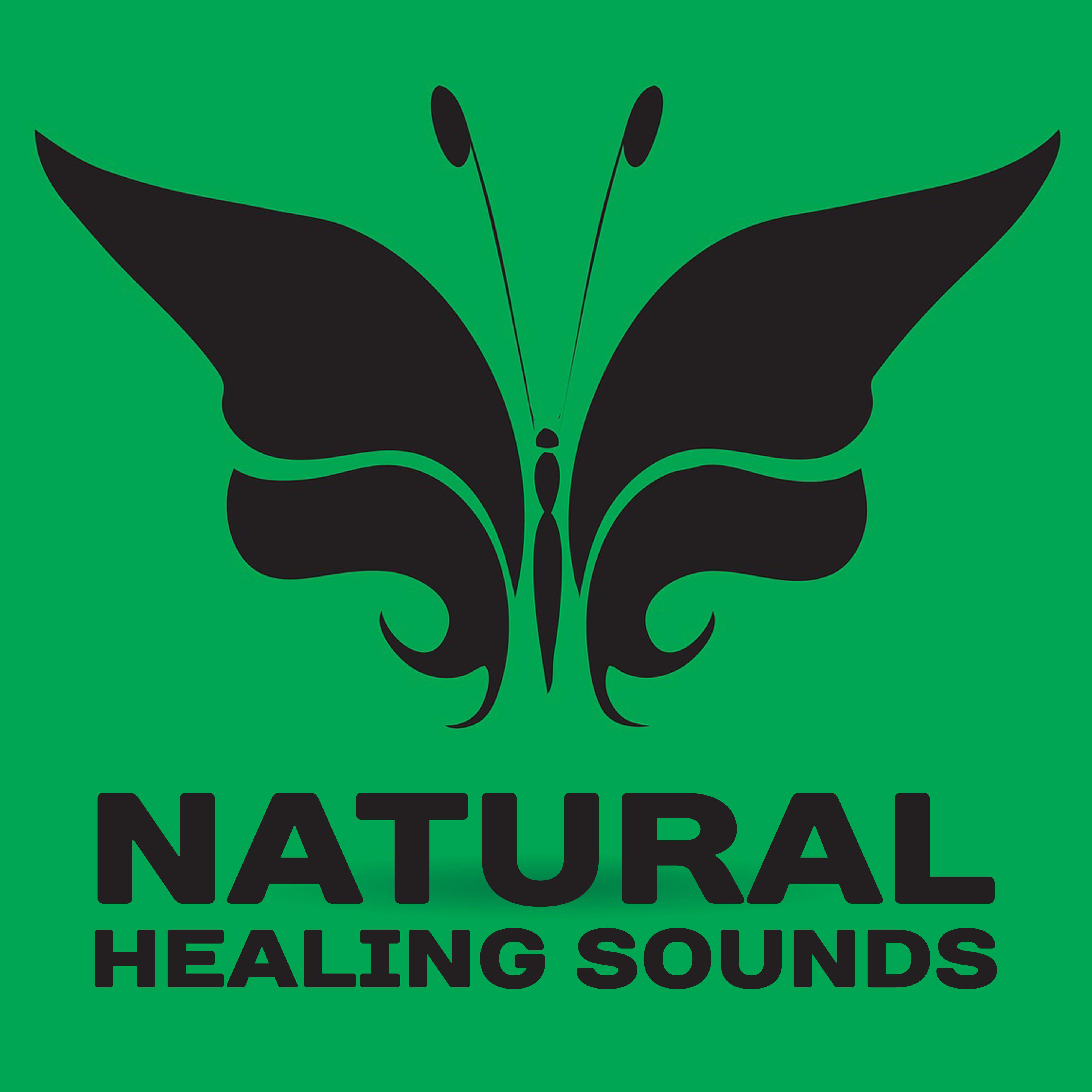 Natural Healing Sounds  Nature Sounds to Calm Down, Peaceful Music, Waves of Calmness