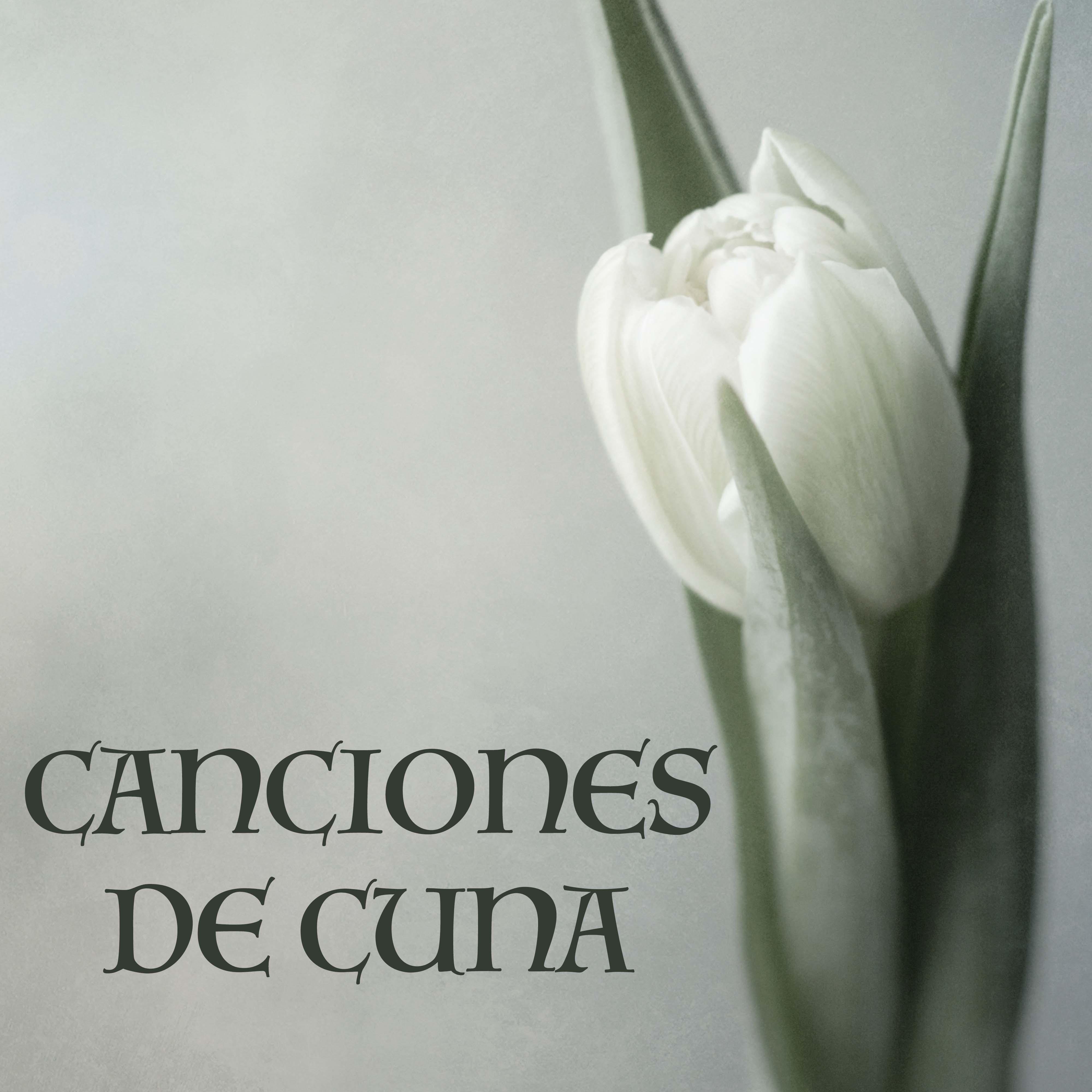 Canciones de Cuna para Bebes