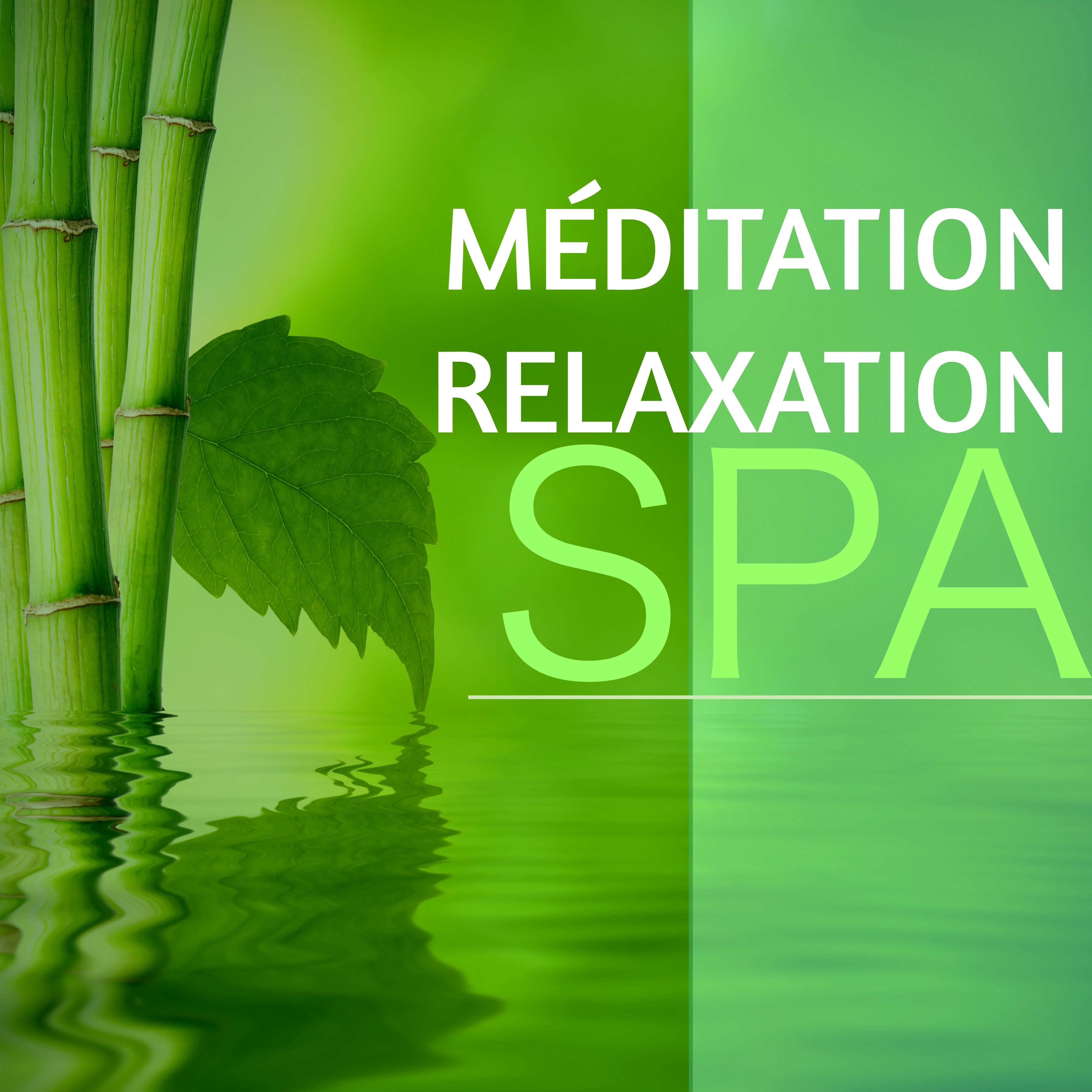 Me ditation Relaxation Spa  Asian Zen Spa Music Collection pour votre Bien tre