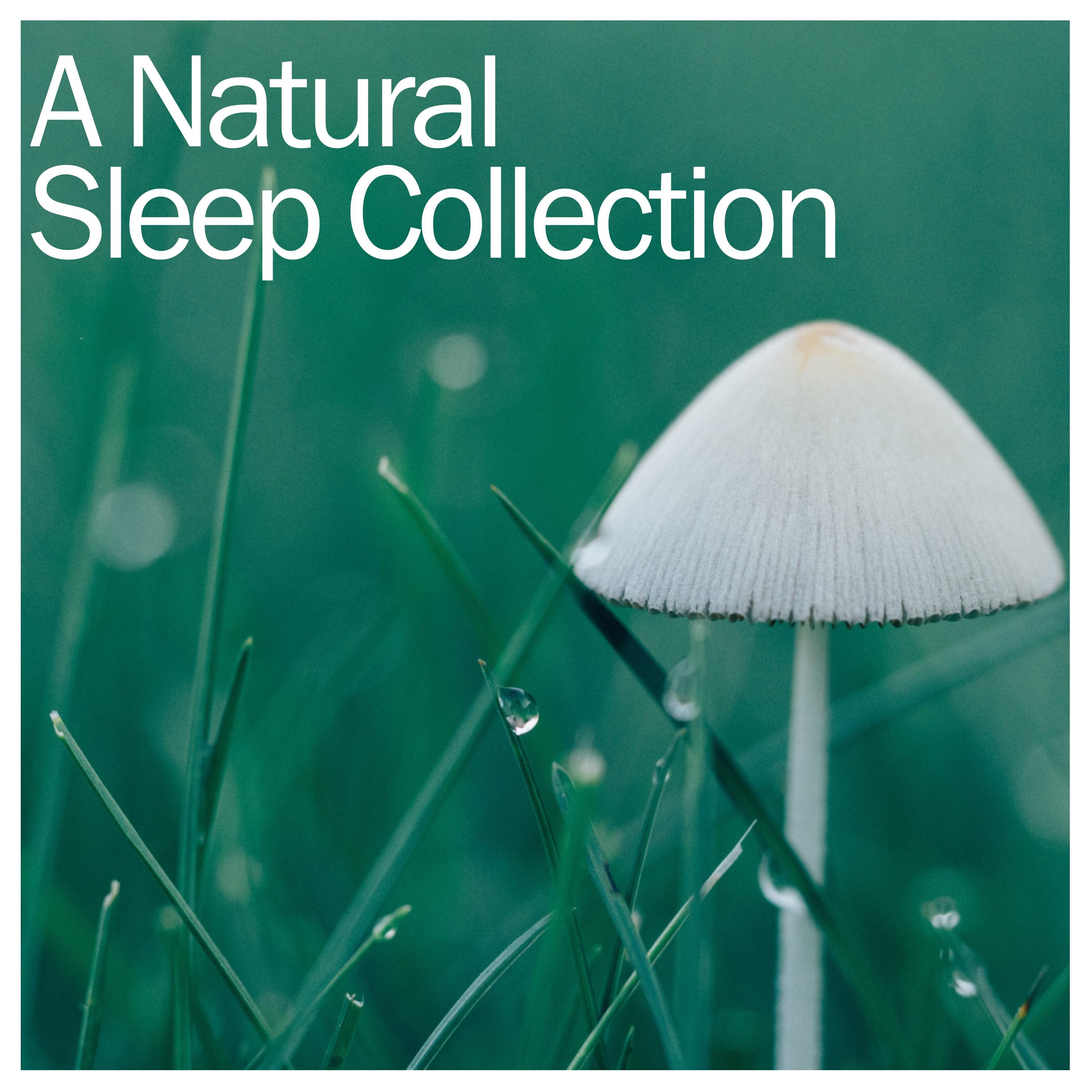 2018 Collection of Rain Sounds for Sleep, Meditation and Yoga