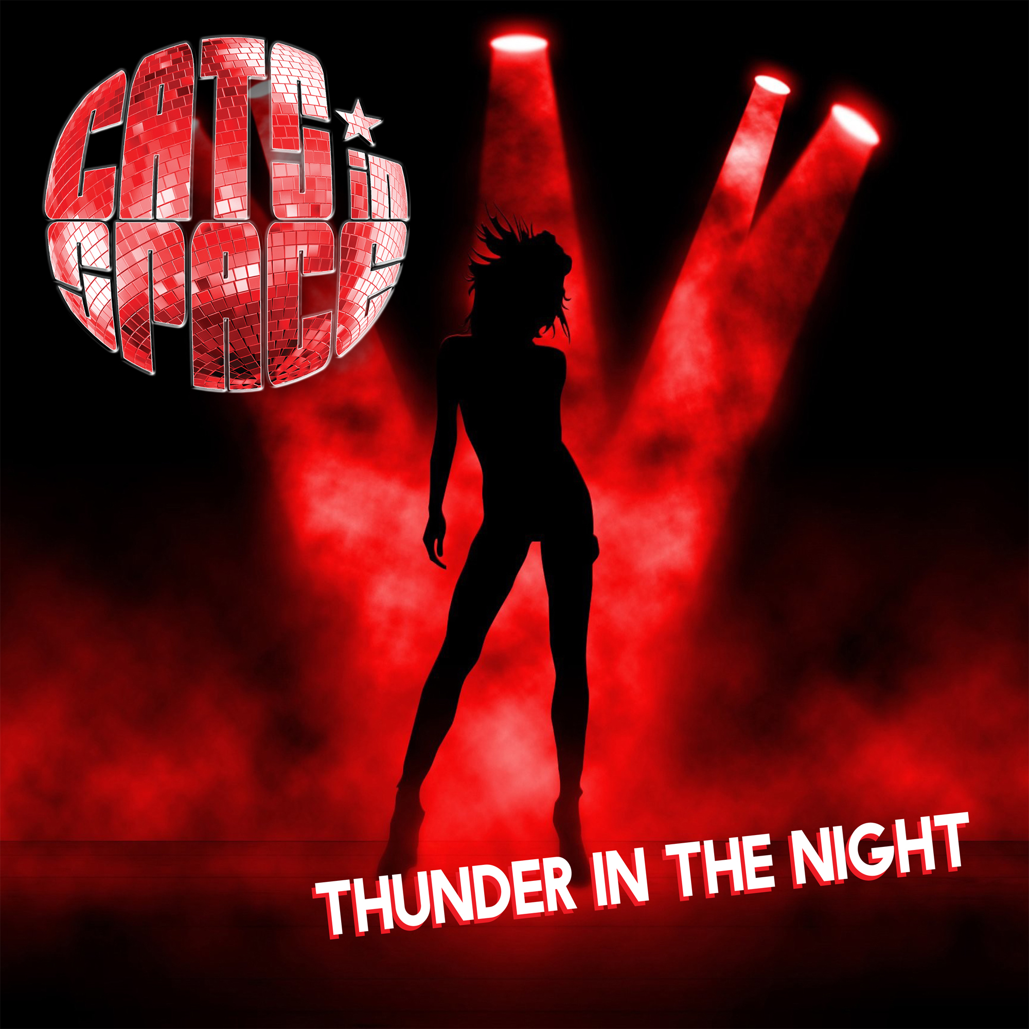 Thunder In The Night