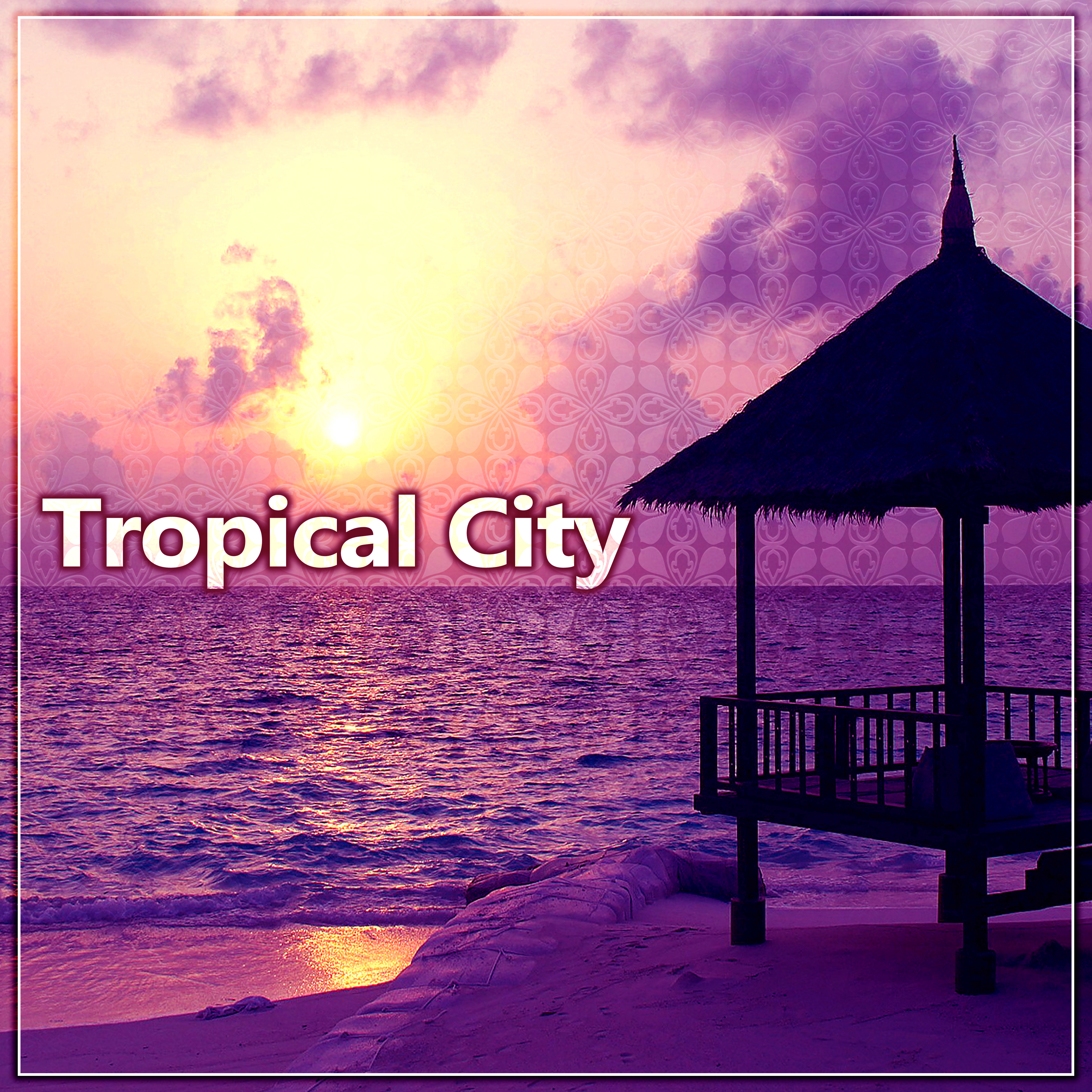 Tropical City  Sunny Moment, Sunny Beach,  Great Green, Beautiful Holiday, Pina Colada