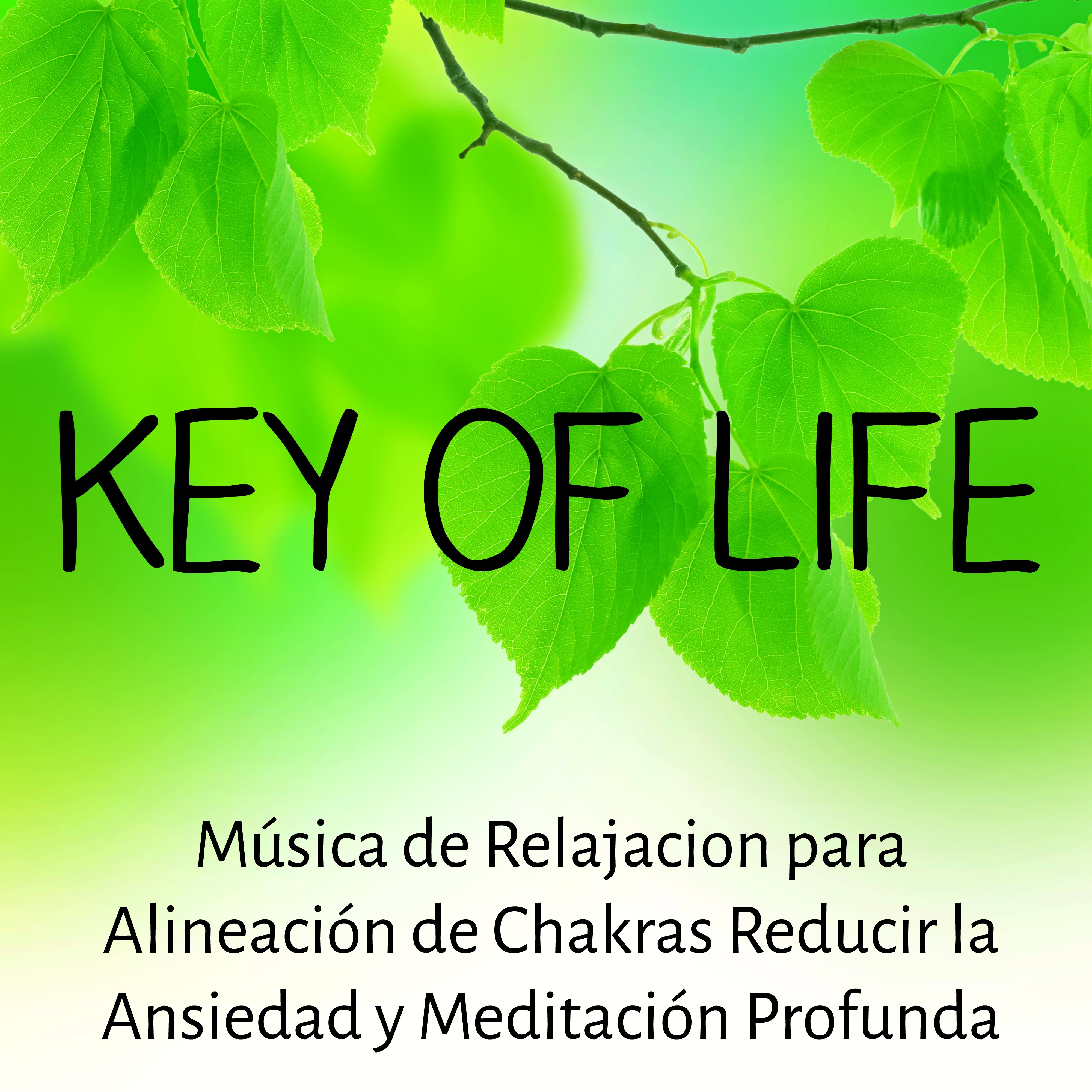 Key of Life  Mu sica de Relajacion para Alineacio n de Chakras Reducir la Ansiedad y Meditacio n Profunda