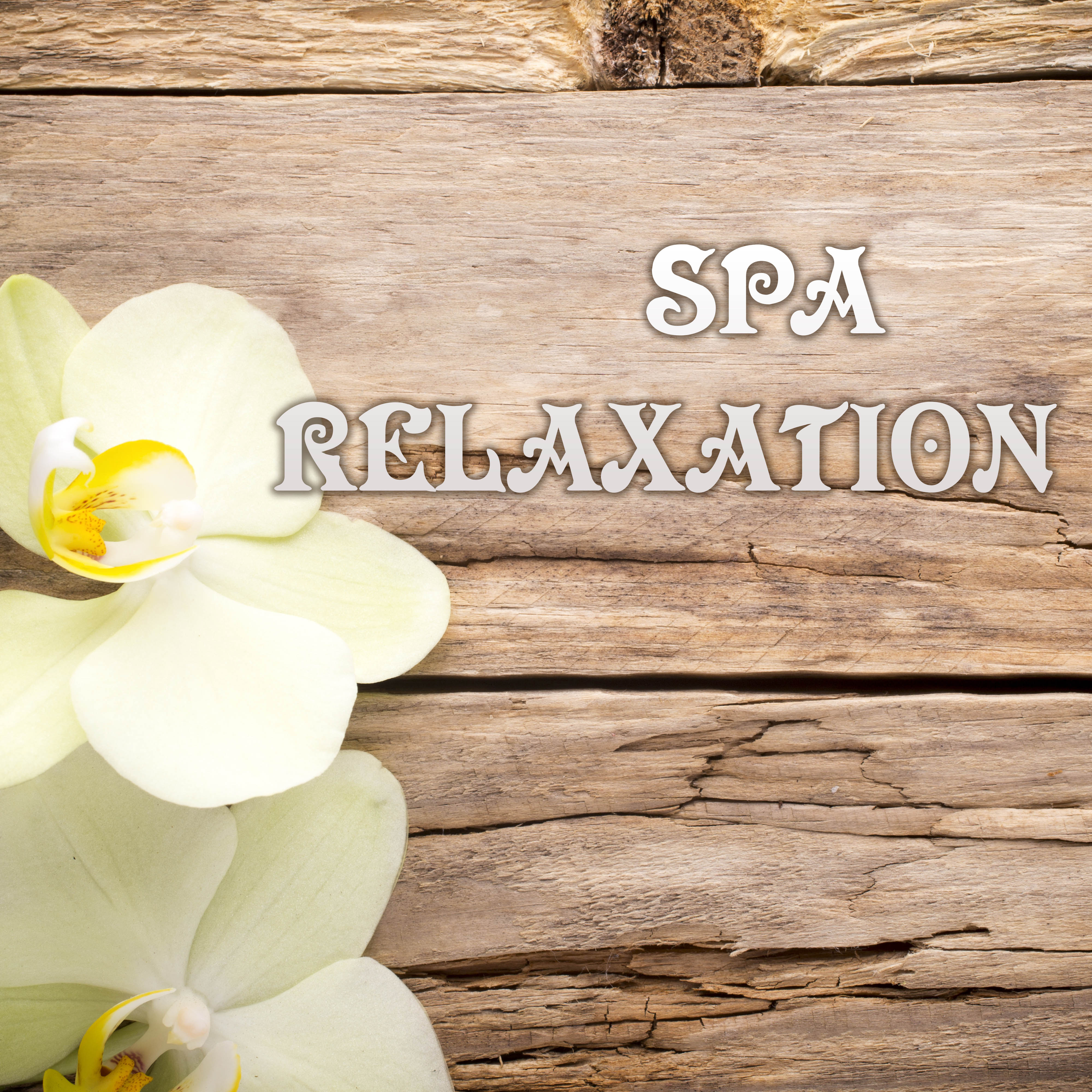 Spa, Relaxation & Deep Meditation Dream Sounds - New Age Music