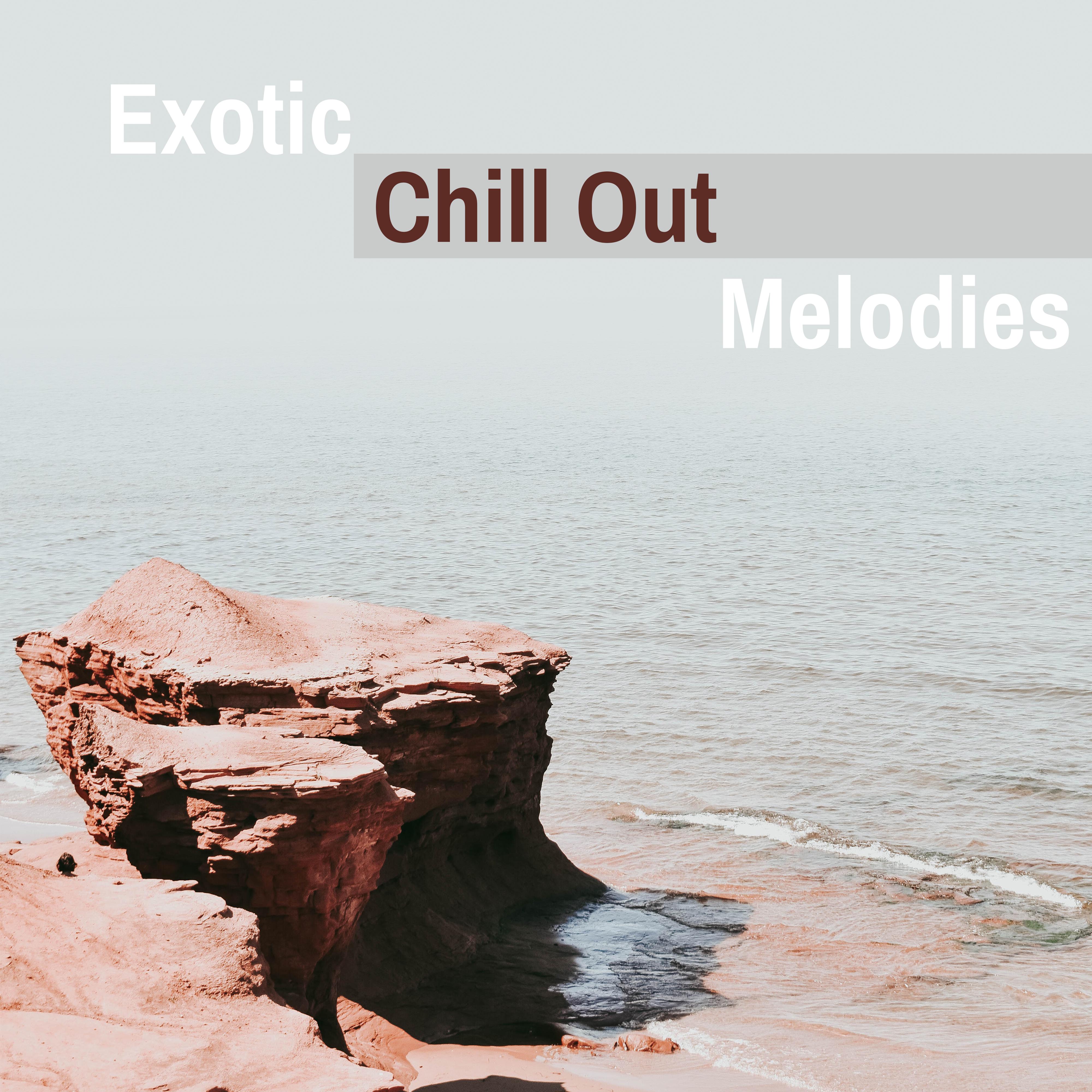 Exotic Chill Out Melodies  Tropical Chill Out Beats, Summer Vibes, Relaxing Melodies, Beach Lounge