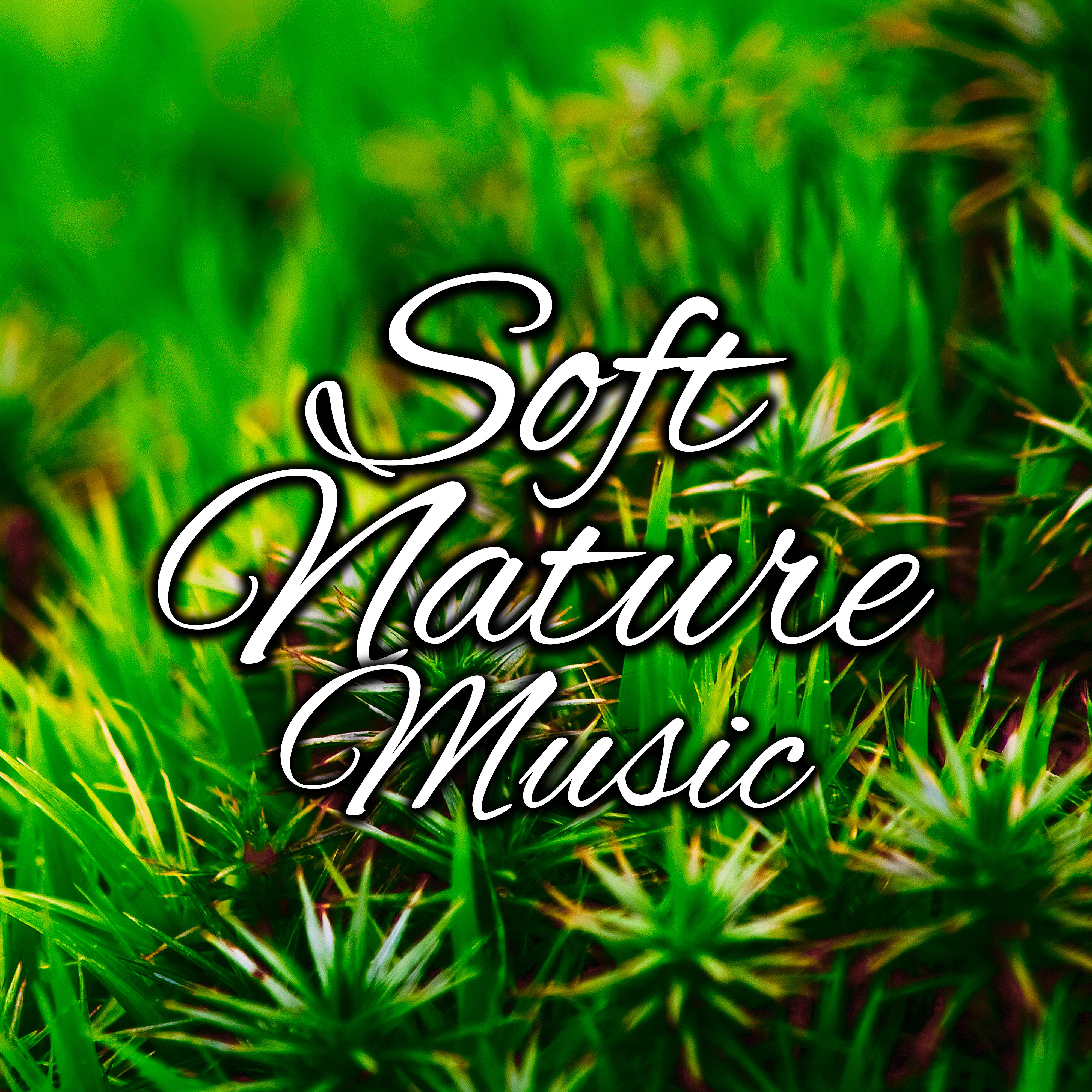 Soft Nature Music  Easy Listening, New Age Nature Melodies, Music to Calm Down, Sounds to Relax, Chilled Note