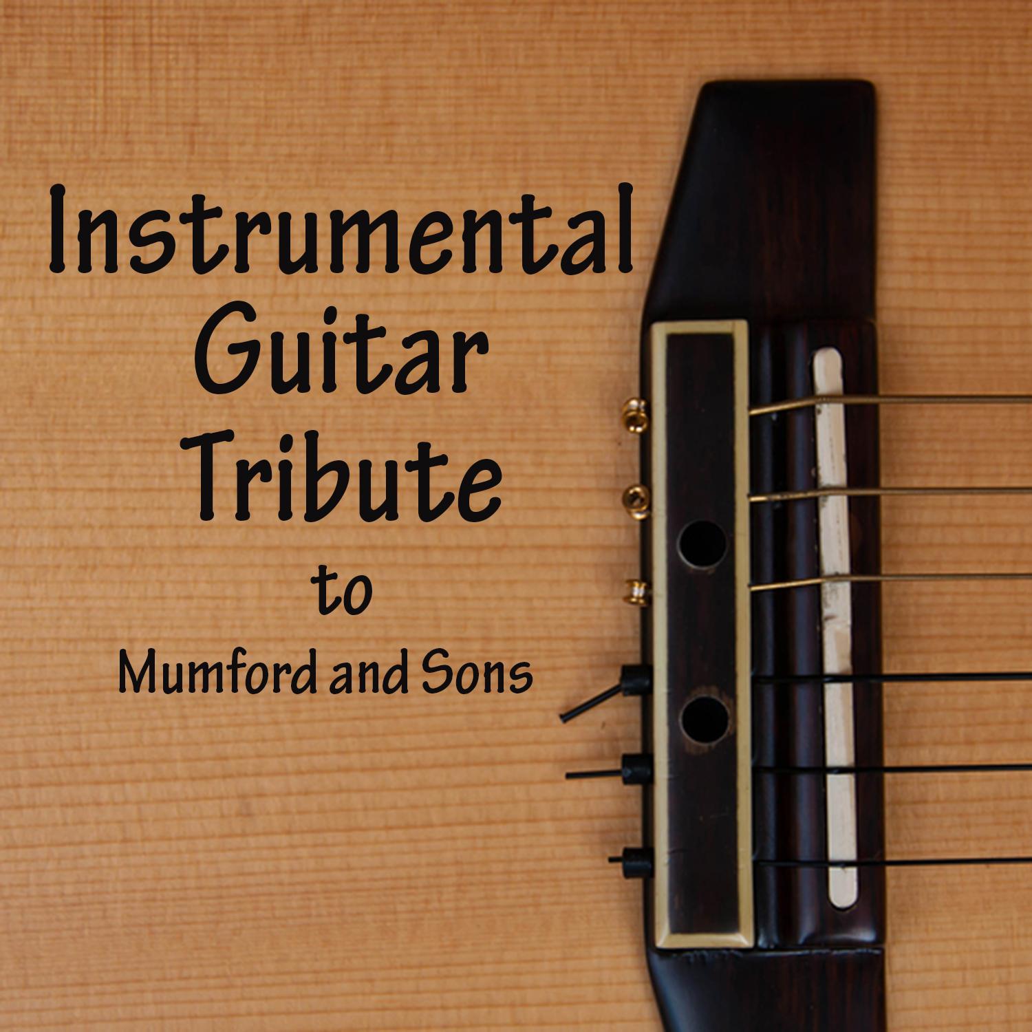 Instrumental Guitar Tribute to Mumford and Sons